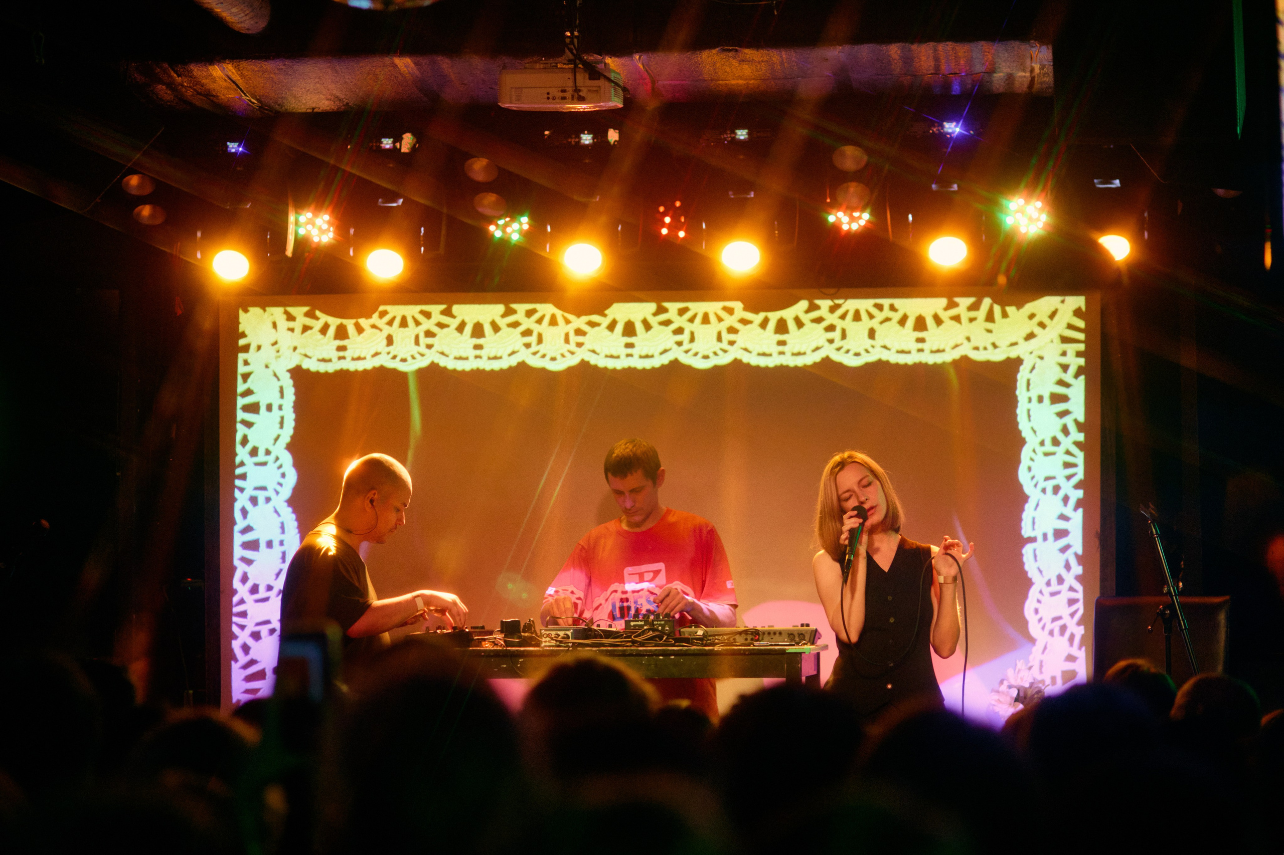 Порез на собаке. Фотограф Юлия Маринина