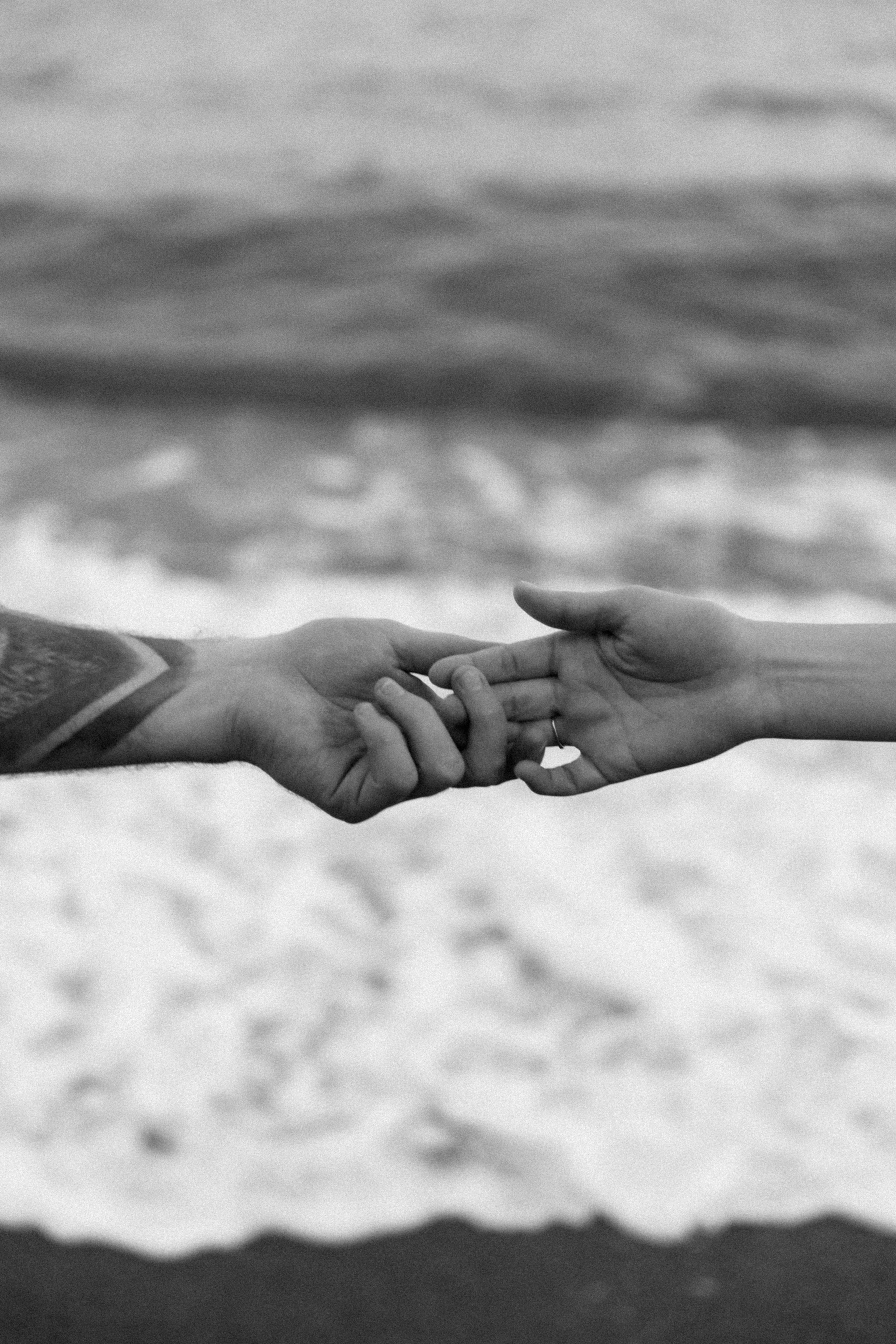 Алексей, София и Федя. Фотограф Сочи Адлер Красная Поляна Ошутина Анастасия