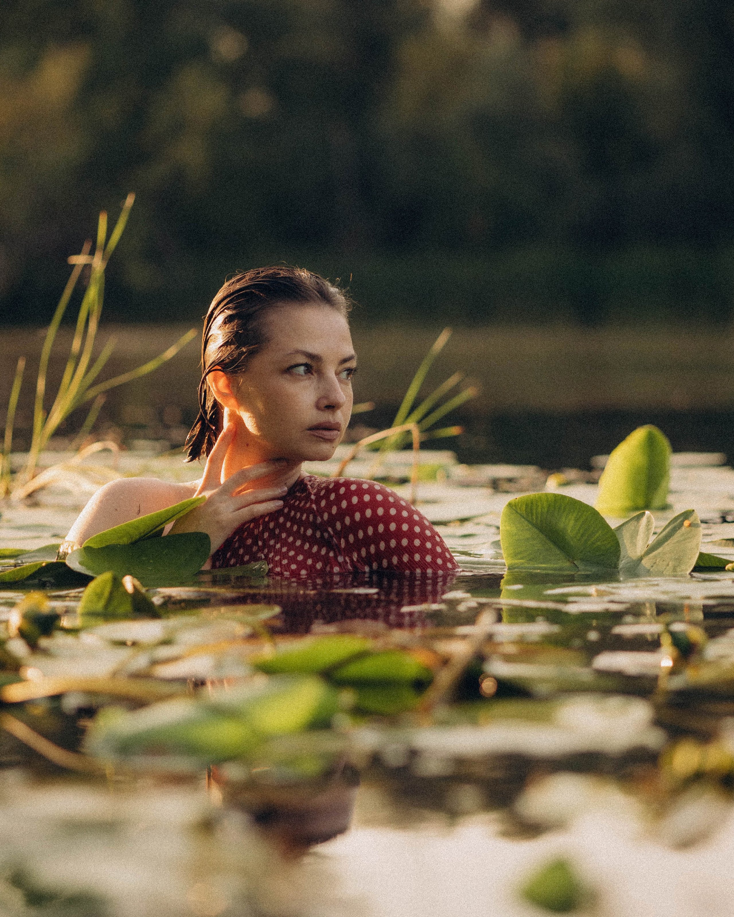 Кувшинки. Главная