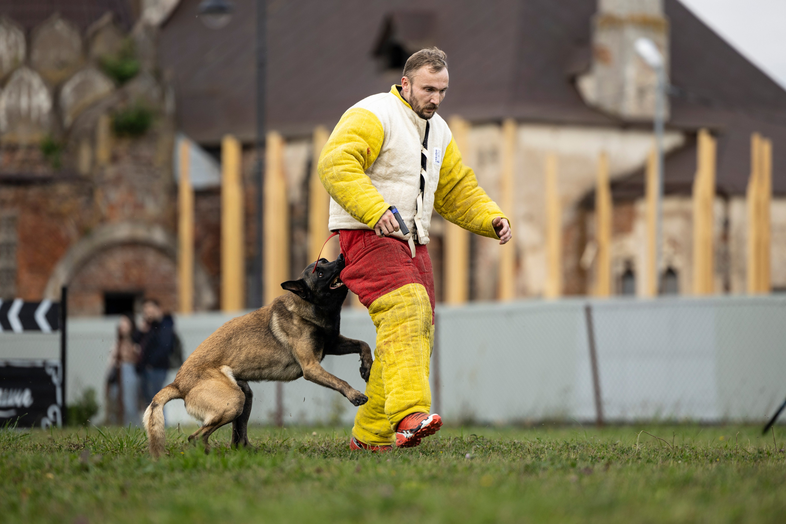 Испытания по Мондьорингу г. Пушкин. Фотограф-анималист Анна Маринич