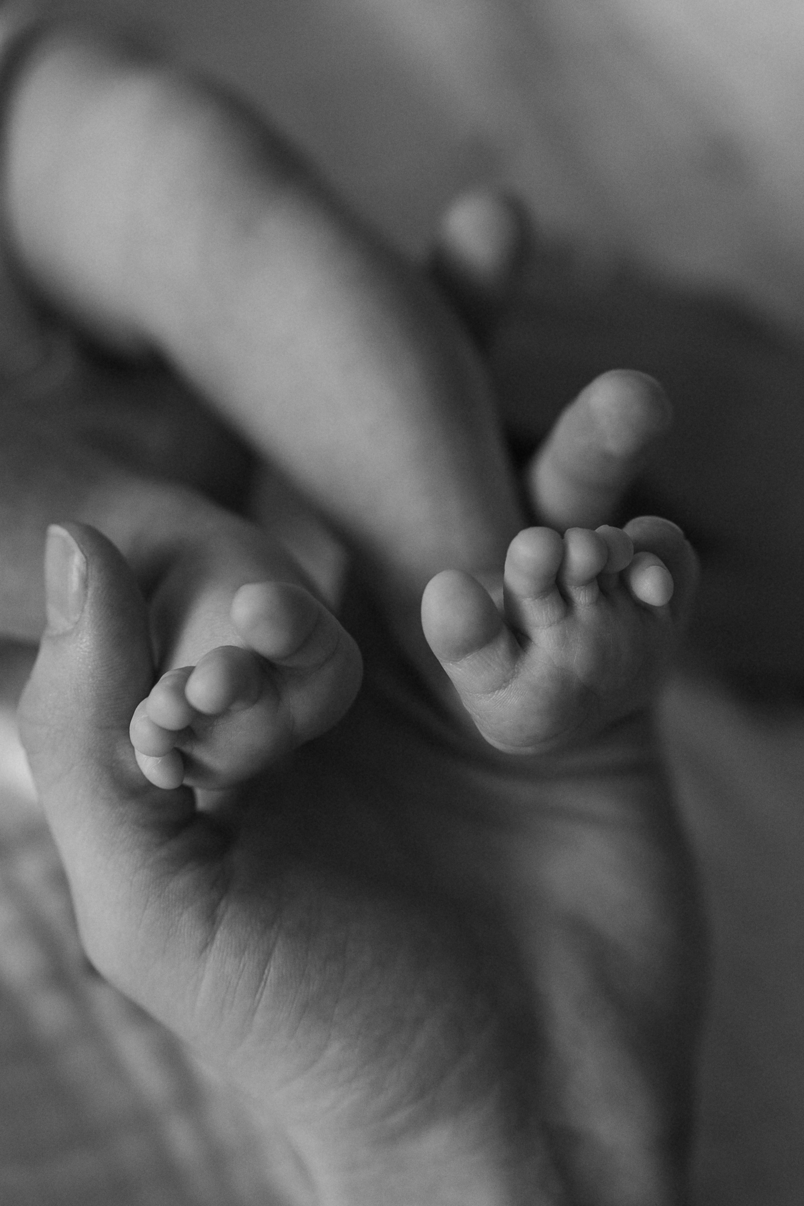 Влад / Ира и Софья. Фотограф в Санкт-Петербурге — Лучина Екатерина