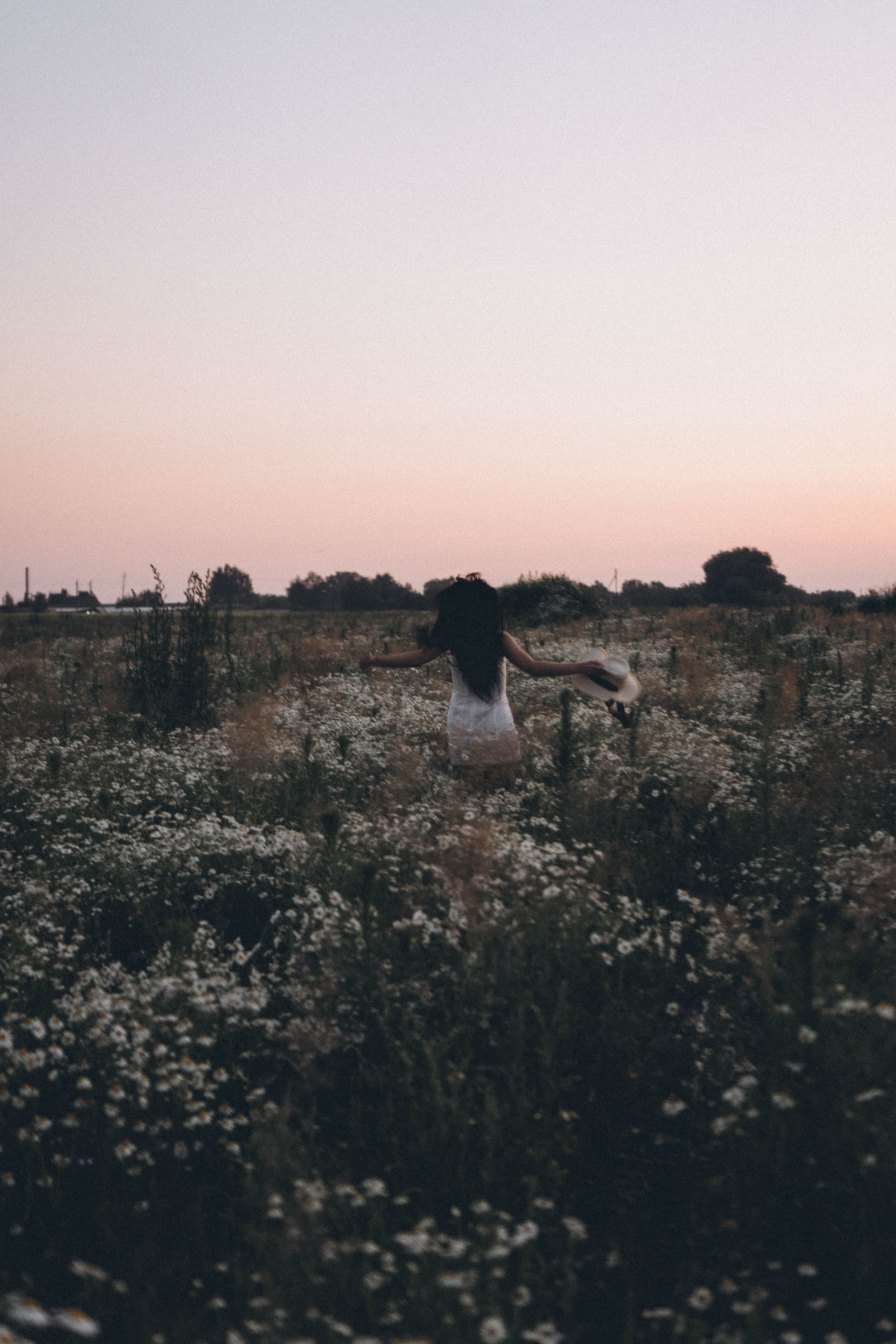 Ромашковое поле. Профессиональный фотограф, Санкт-Петербург — Виктория Богомолова
