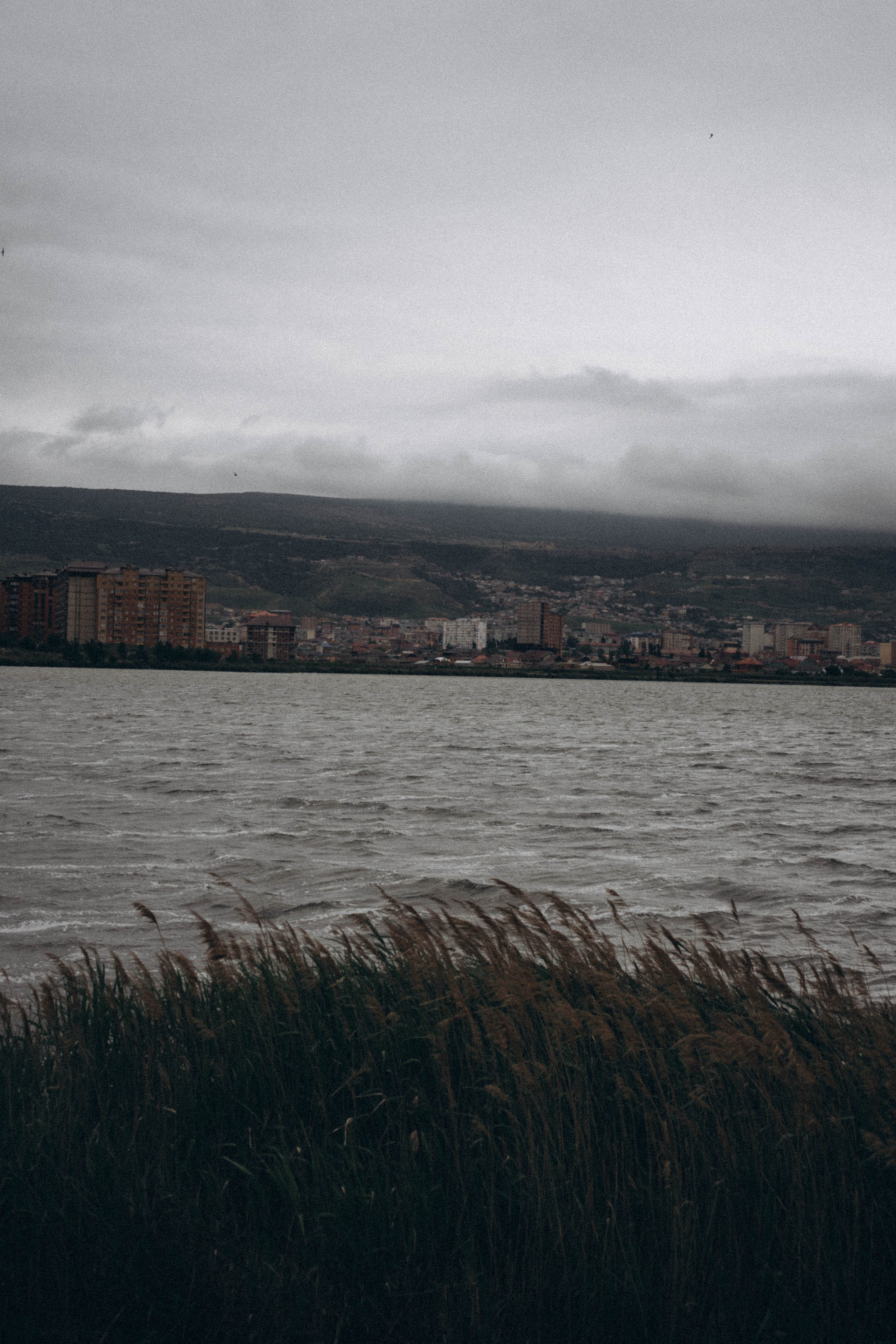 Кавказ. Профессиональный фотограф, Санкт-Петербург — Виктория Богомолова