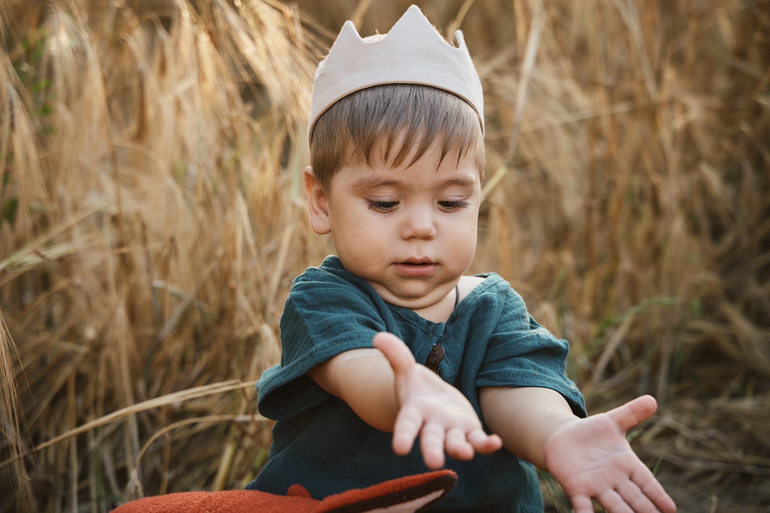 Маленький принц в поле. Петр Ступень. Свадебное, семейное фото и видео. Москва. Краснодар