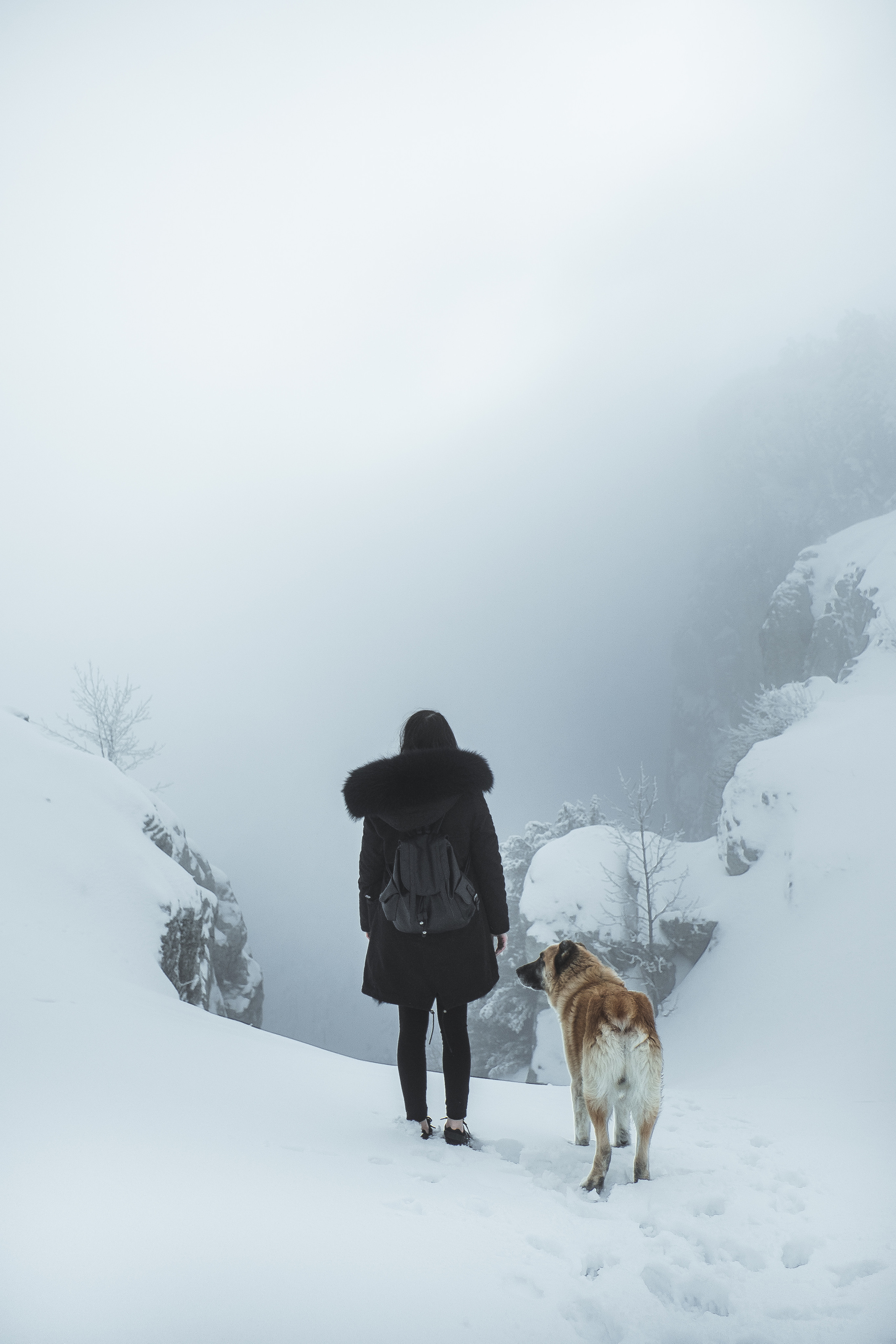 Смотреть фоточки. Альтимиров Руслан | Профессиональный фотограф в Москве