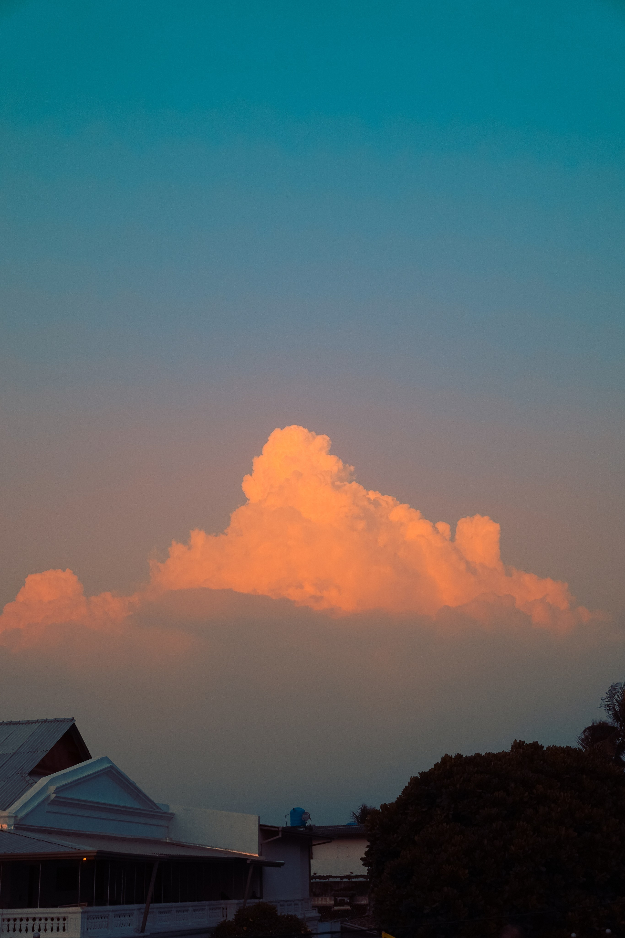 Шри-Ланка. Фотограф Алиса Аспер
