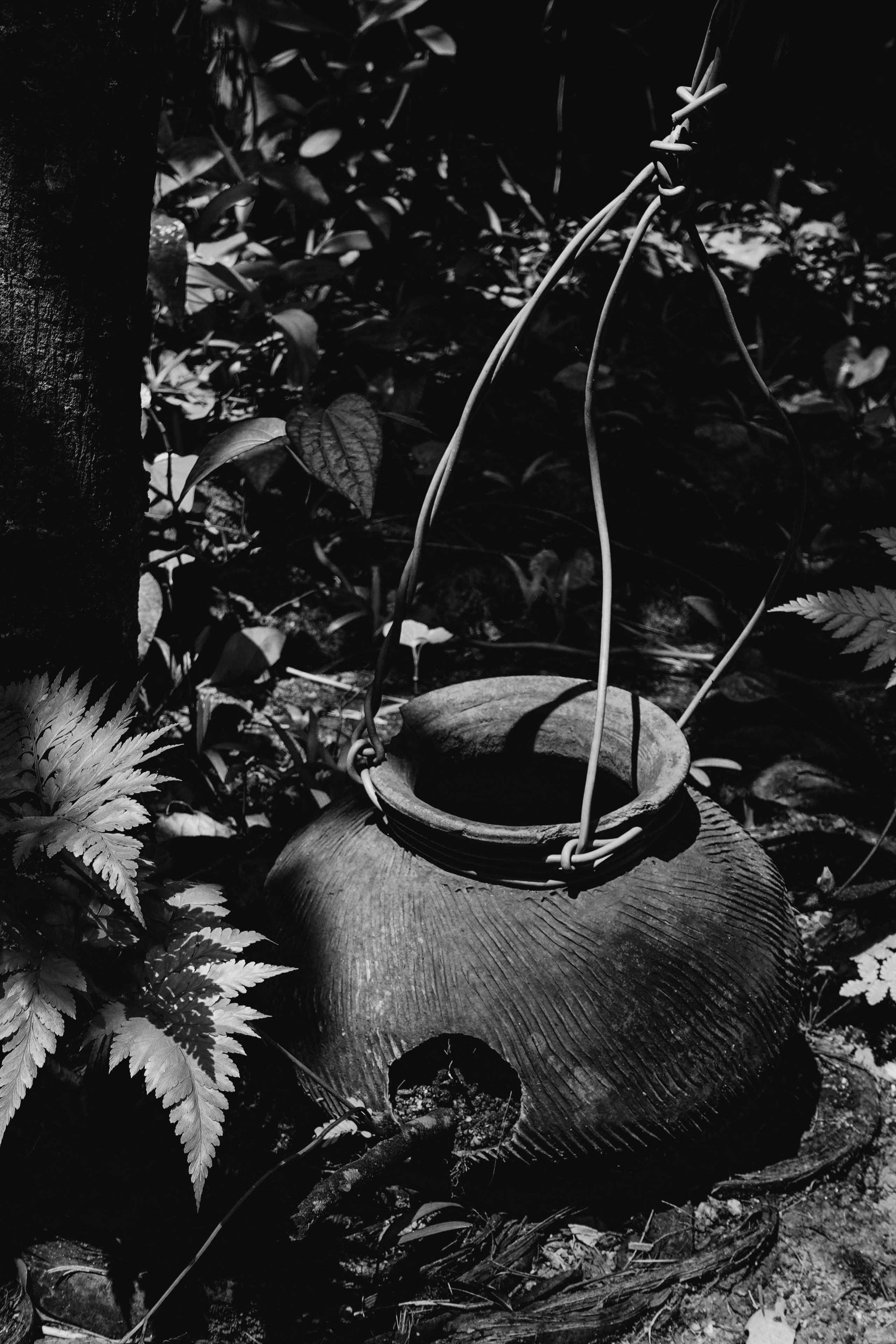 Шри-Ланка. Фотограф Алиса Аспер