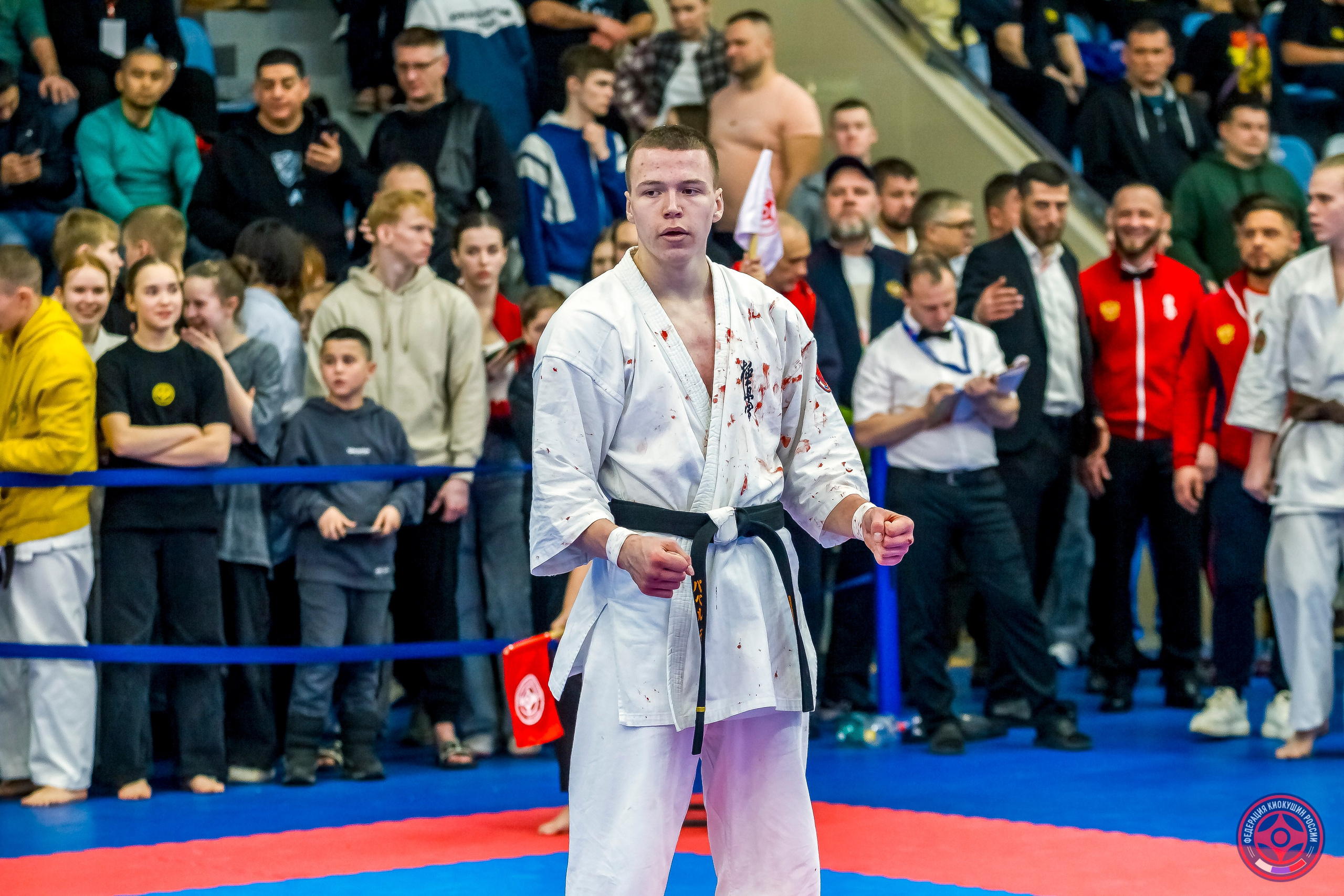 Международный турнир по киокушин «Открытый кубок Seiken». Репортажная съемка в Москве и области. Анималистика