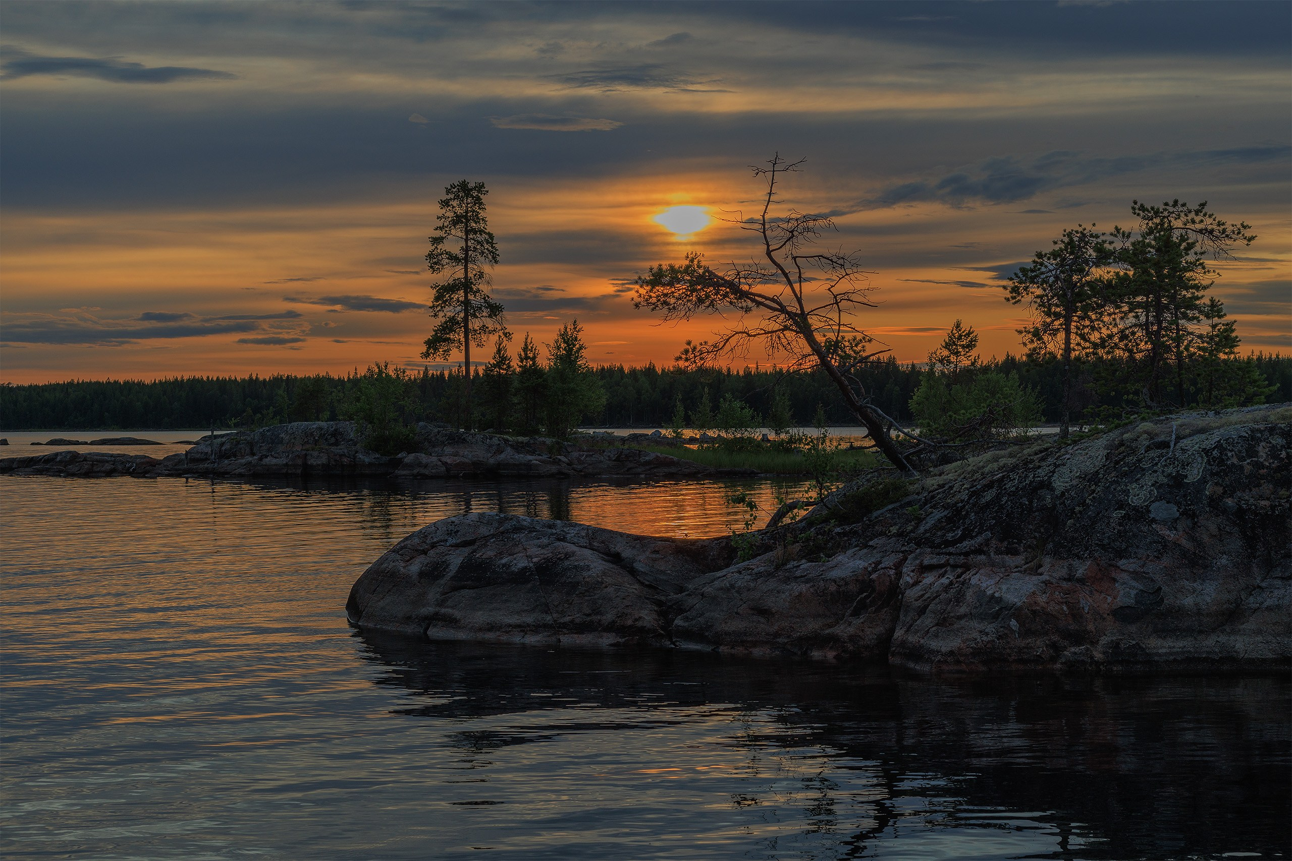 Пейзажи. Сайт фотографа Елены Михайловой. Фотосессии на пленэре в Сестрорецке