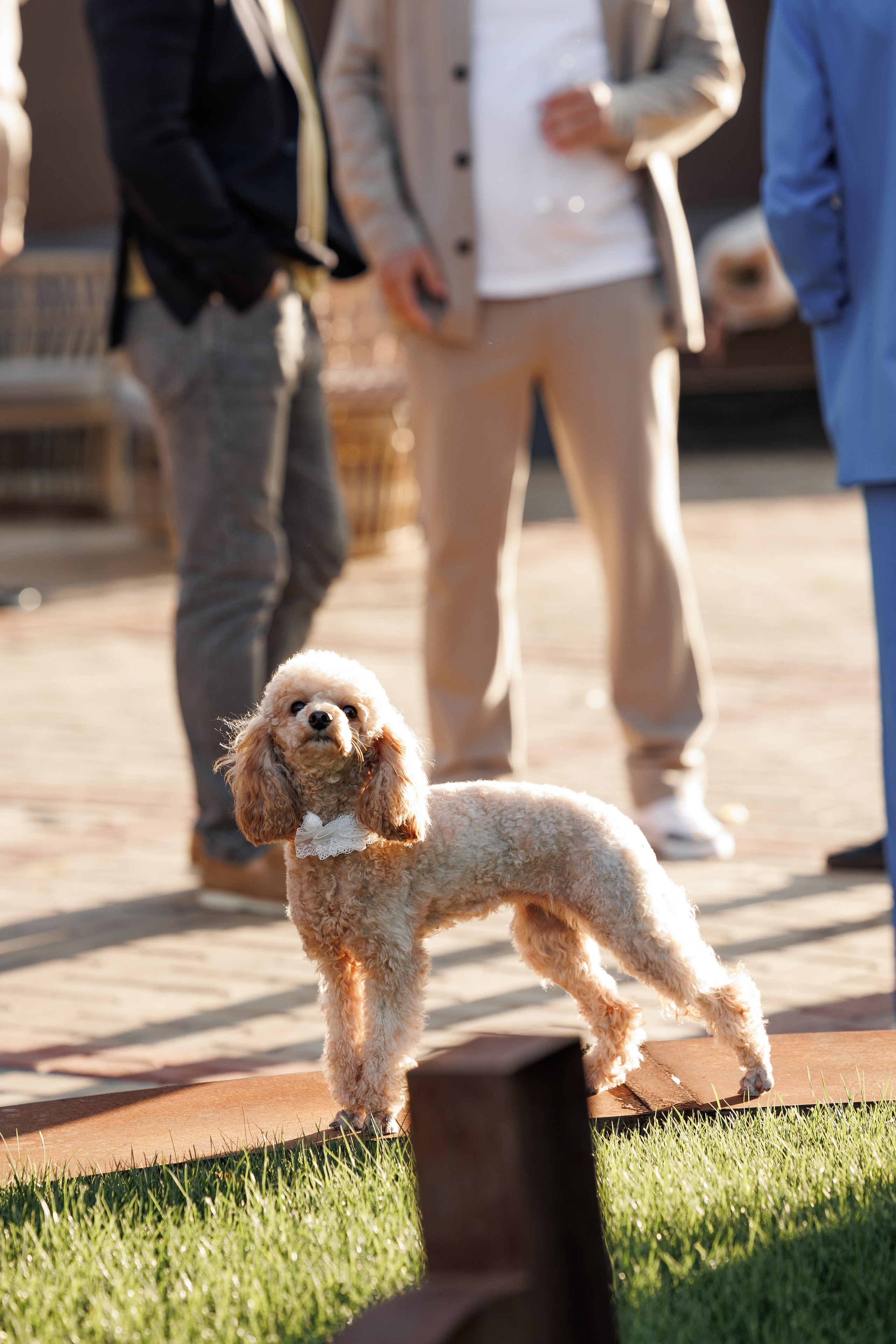Leonid&Anastasia. Свадебный организатор в Ростове-на-Дону Яснов Роман