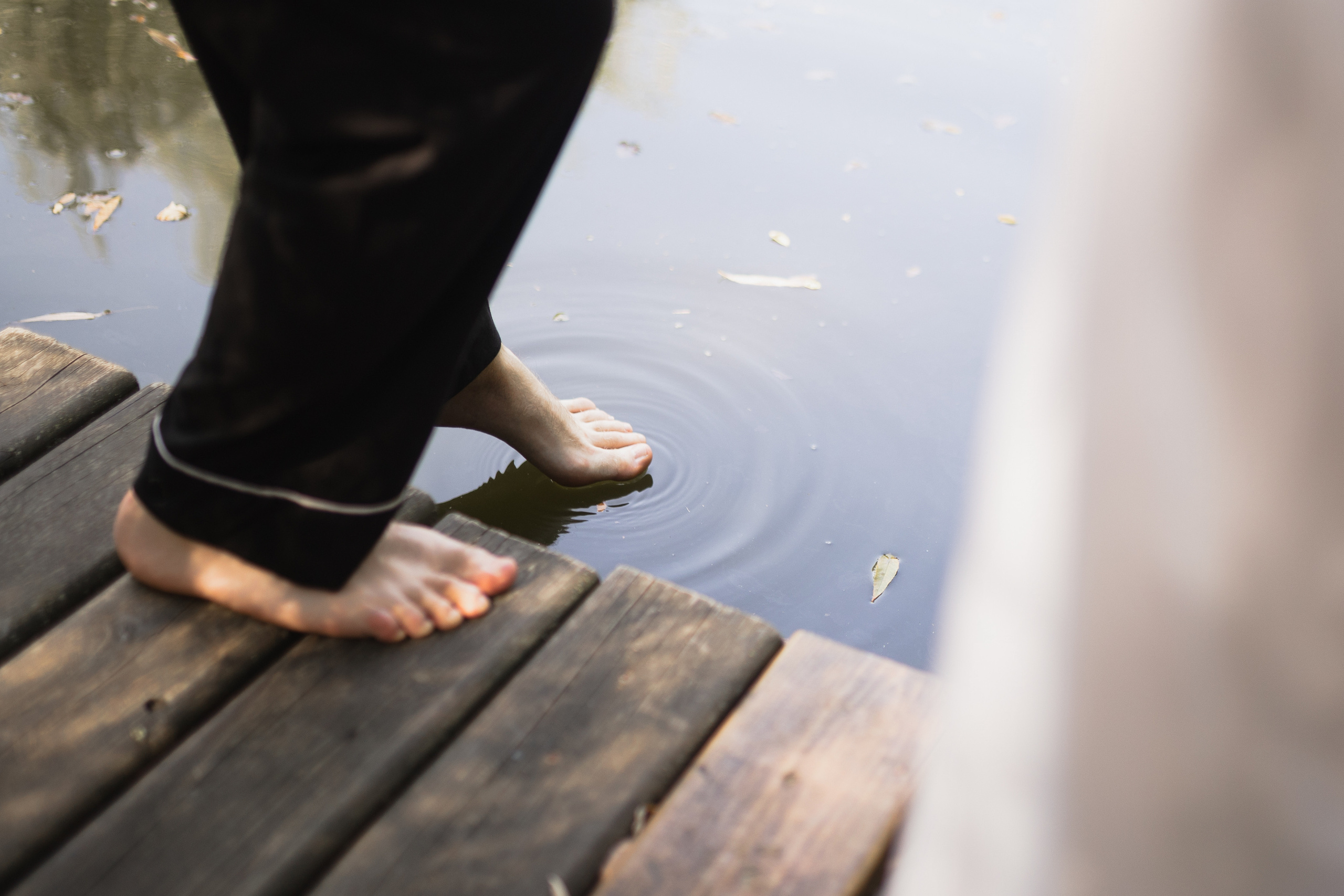 Илья и София. Свадебный организатор в Ростове-на-Дону Яснов Роман