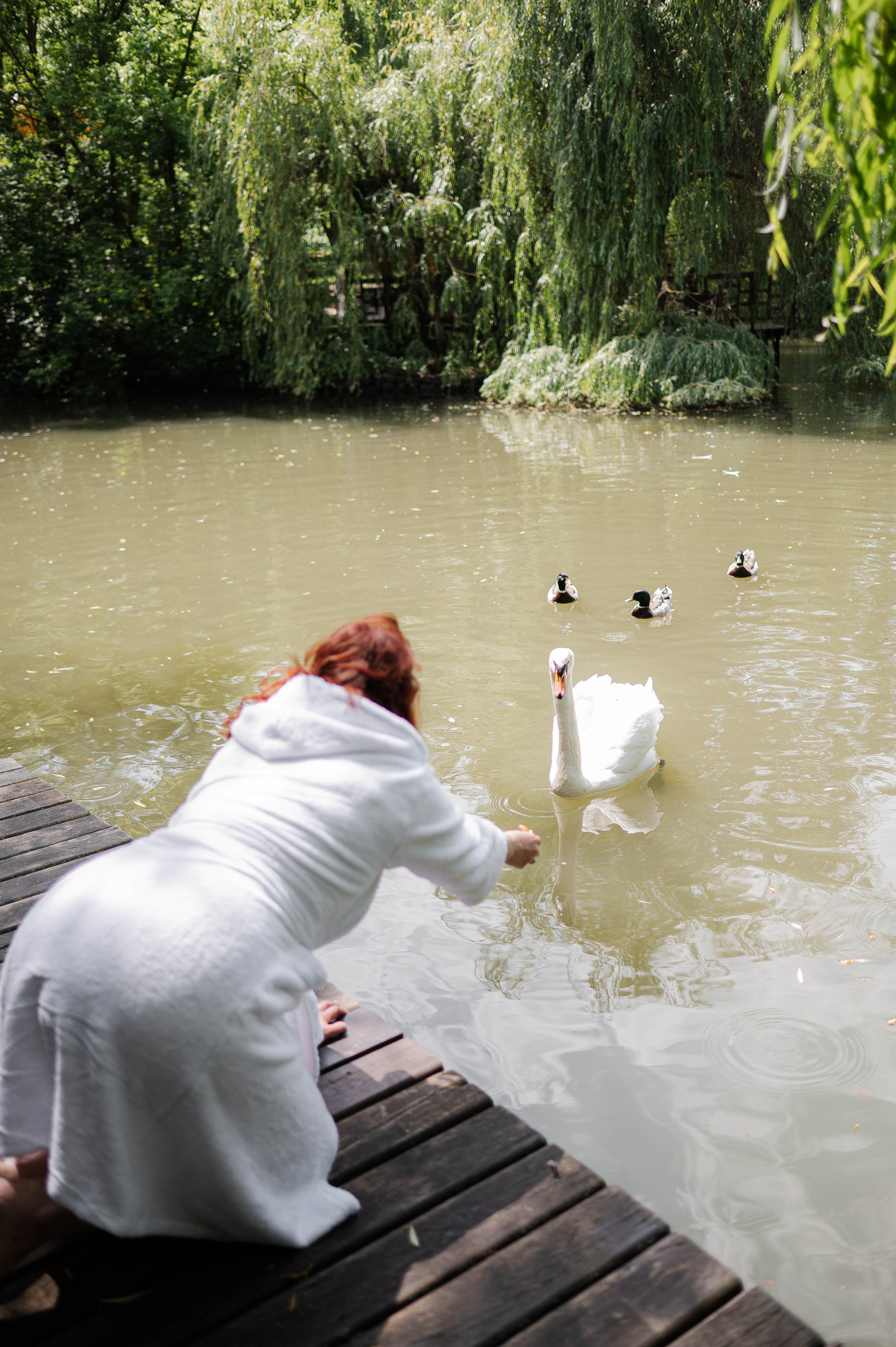 Андрей и Мария. Свадебный организатор в Ростове-на-Дону Яснов Роман