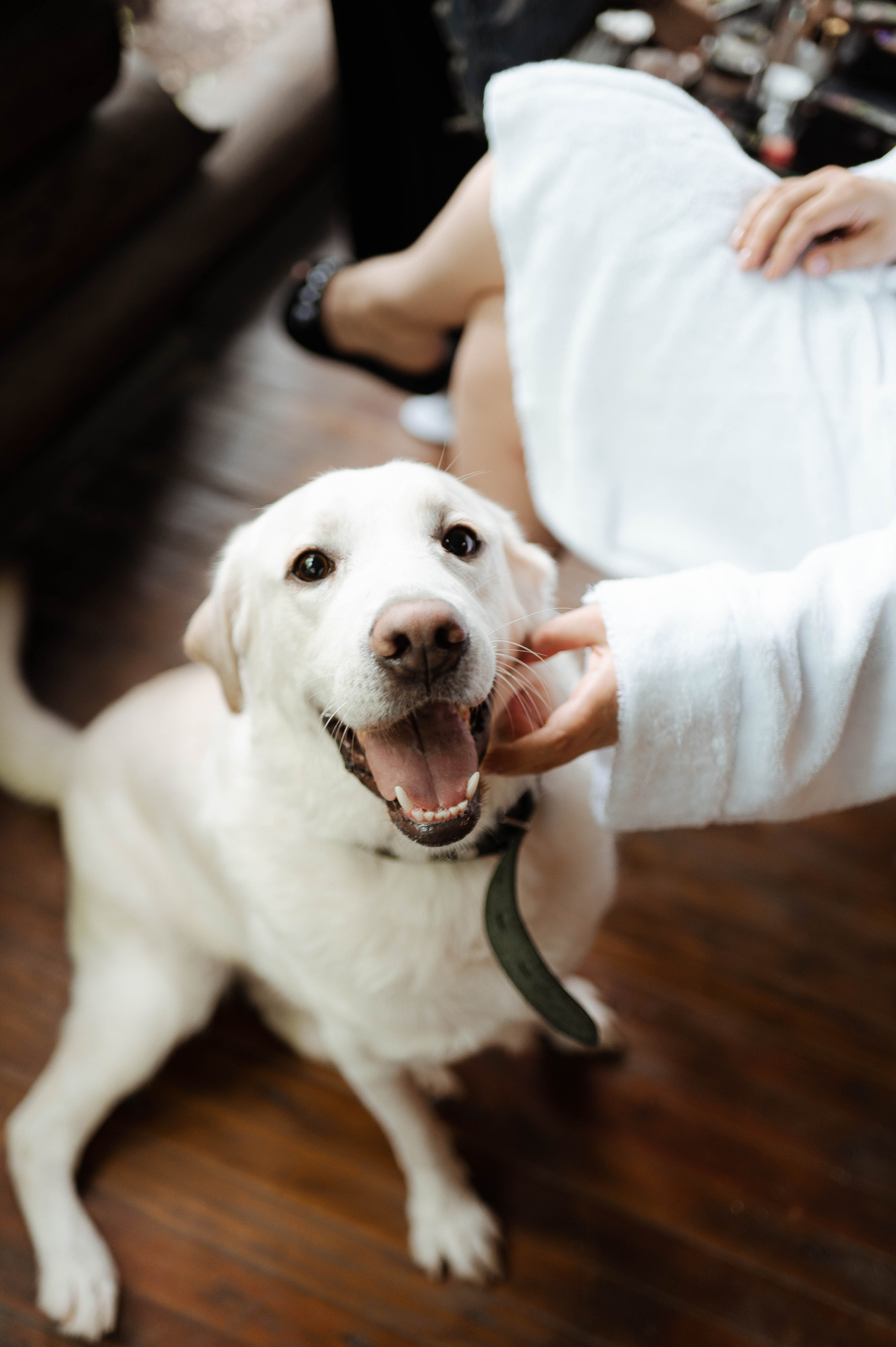 Андрей и Мария. Свадебный организатор в Ростове-на-Дону Яснов Роман