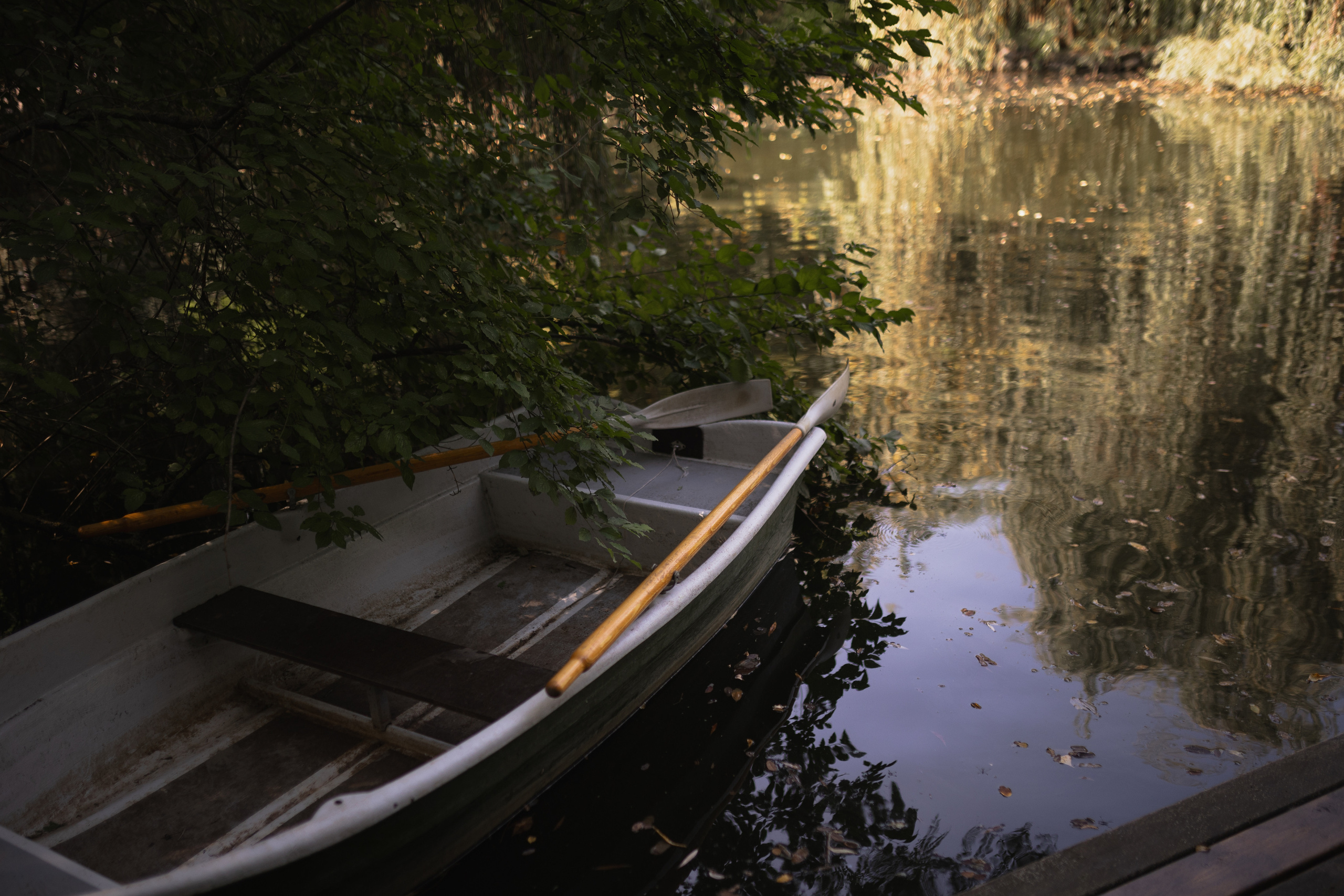 Илья и София. Свадебный организатор в Ростове-на-Дону Яснов Роман