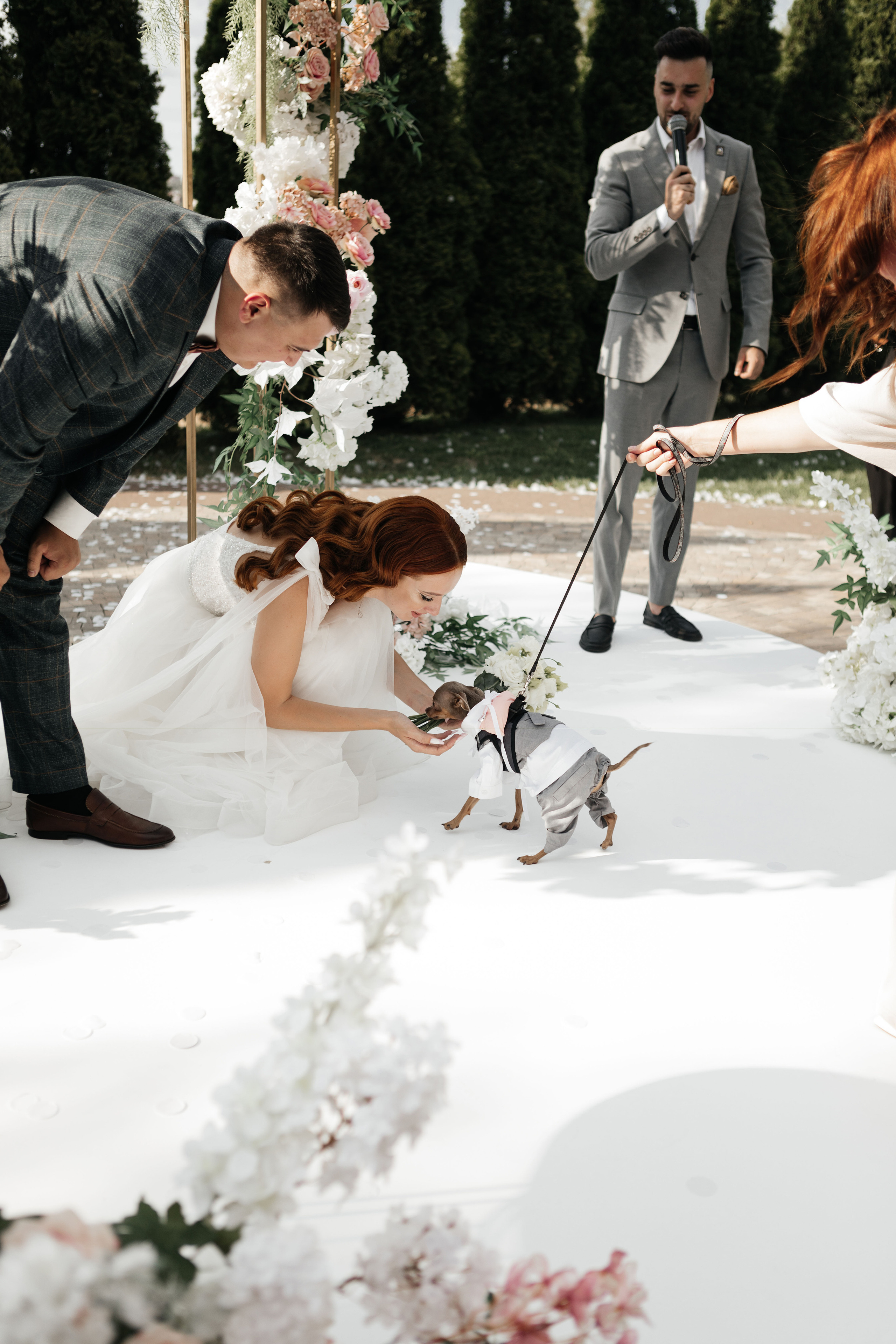 Дмитрий и Татьяна. Свадебный организатор в Ростове-на-Дону Яснов Роман