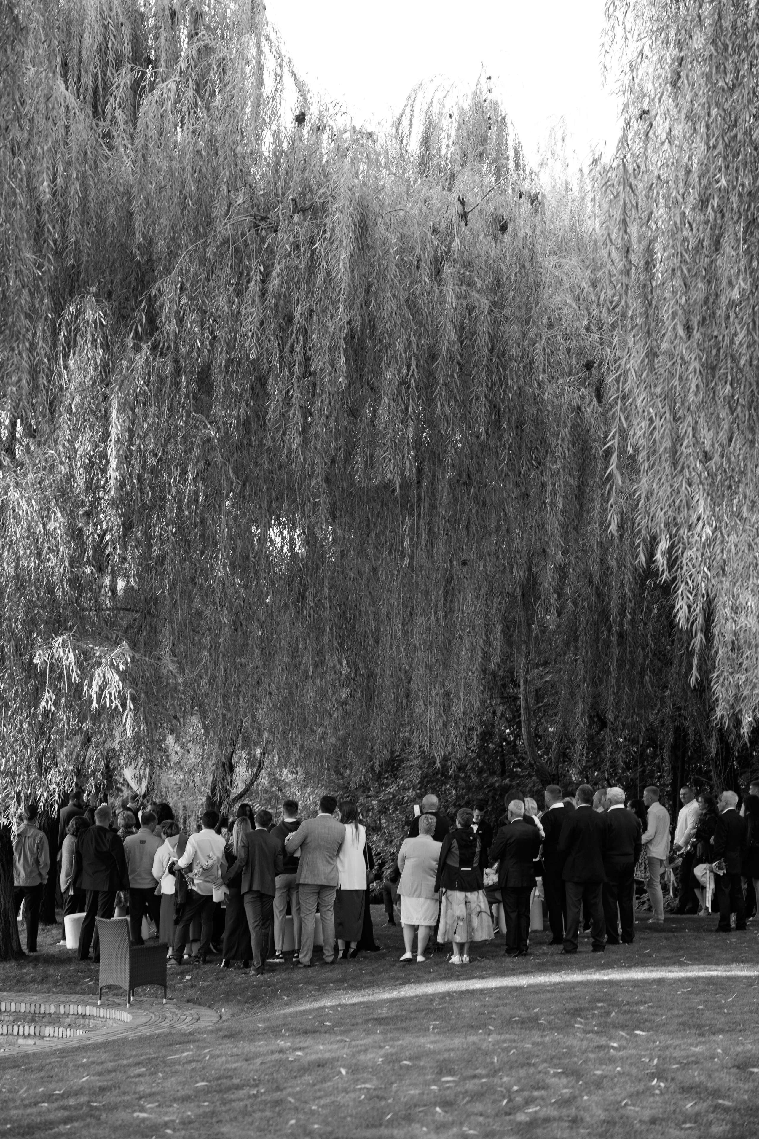 Leonid&Anastasia. Свадебный организатор в Ростове-на-Дону Яснов Роман