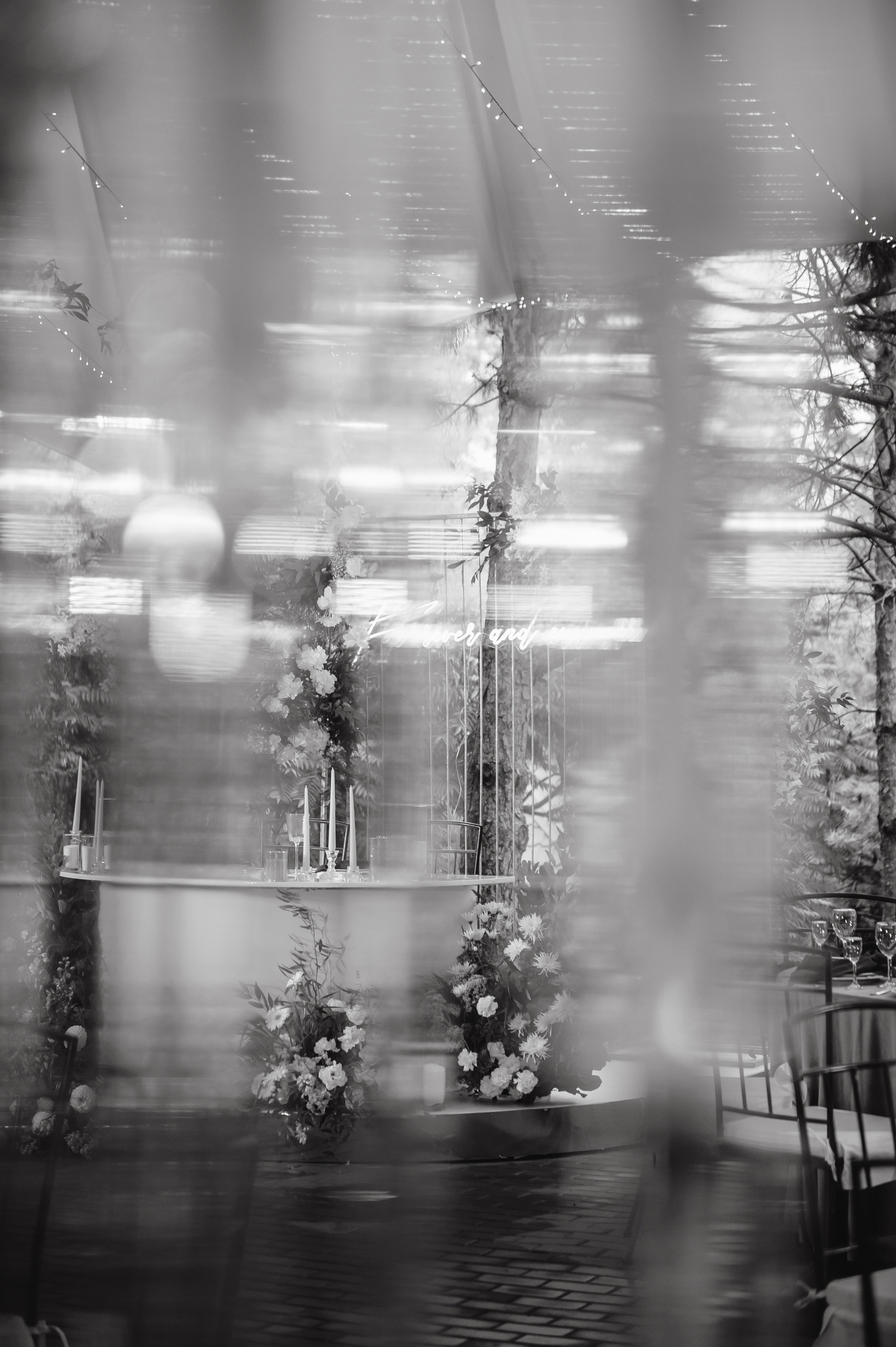 Никита и Дарья. Свадебный организатор в Ростове-на-Дону Яснов Роман