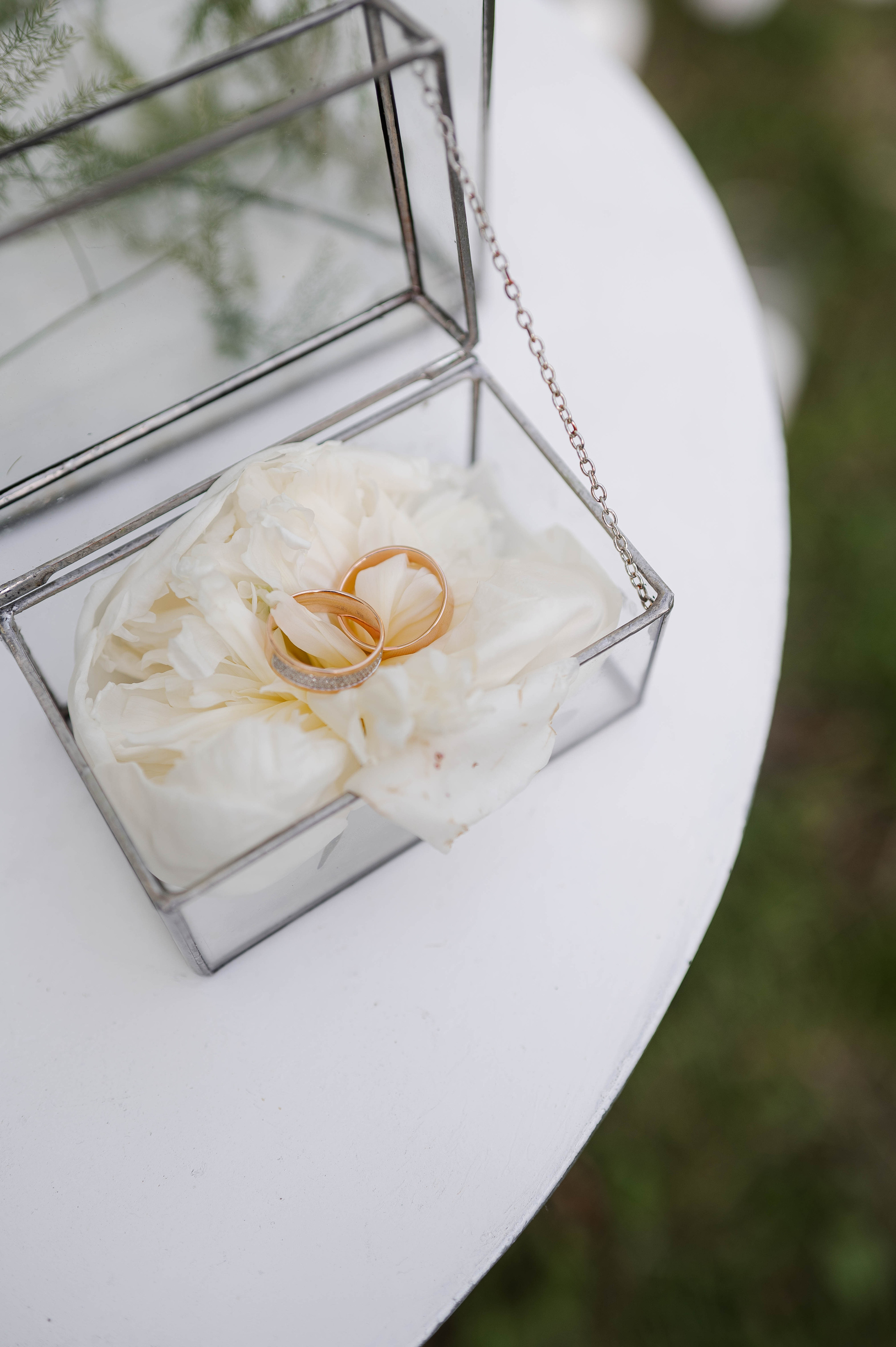 Андрей и Мария. Свадебный организатор в Ростове-на-Дону Яснов Роман