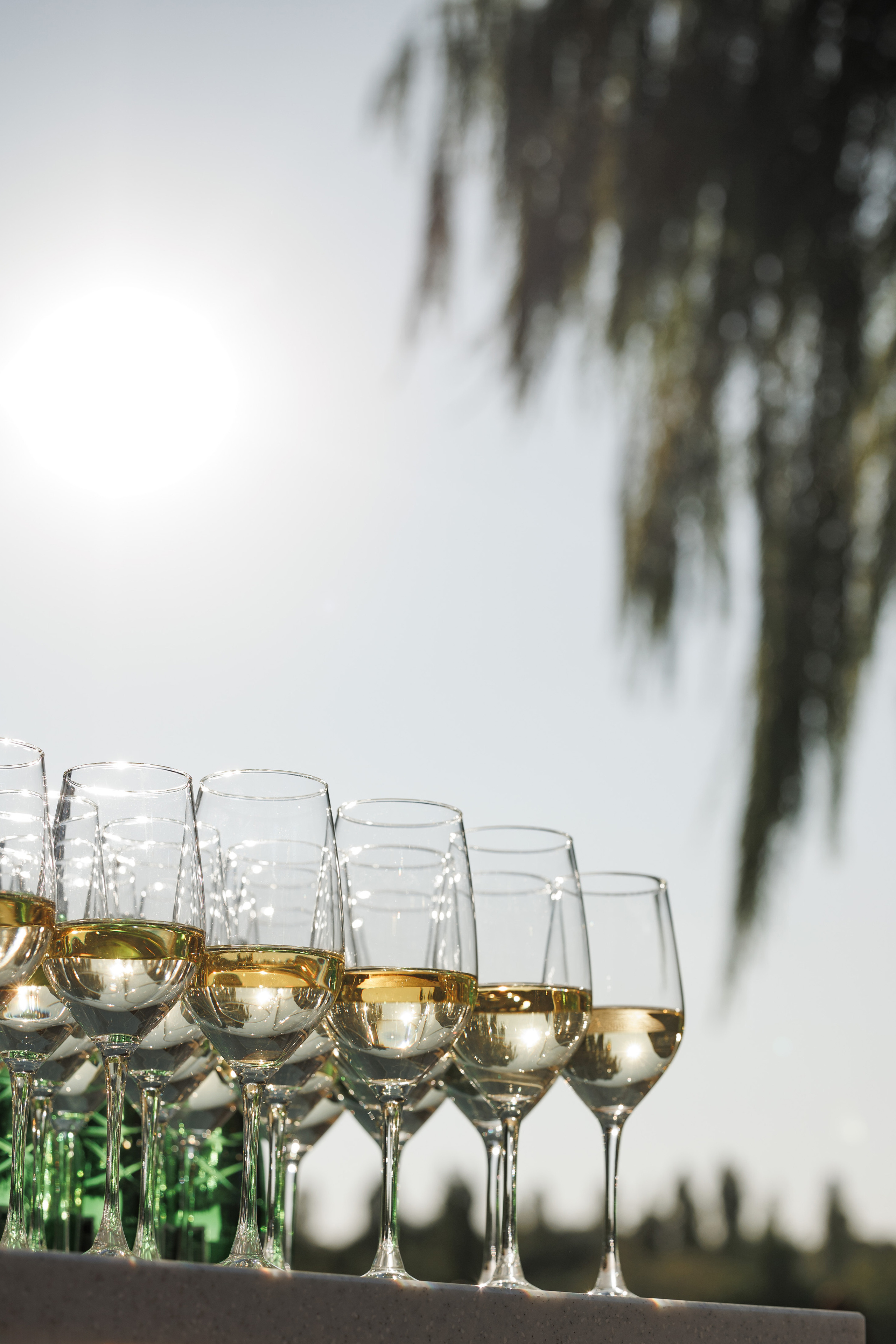 Leonid&Anastasia. Свадебный организатор в Ростове-на-Дону Яснов Роман