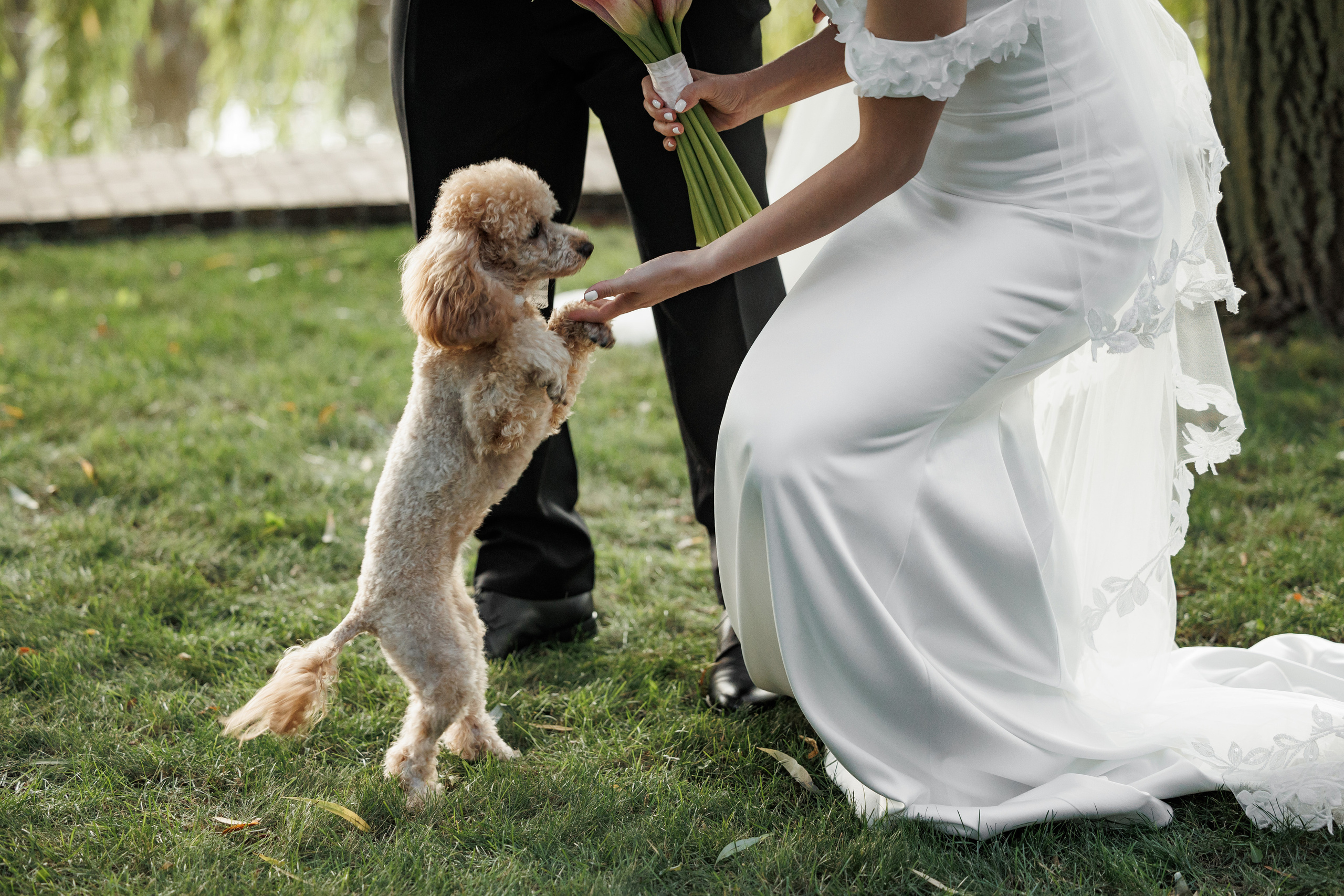 Leonid&Anastasia. Свадебный организатор в Ростове-на-Дону Яснов Роман