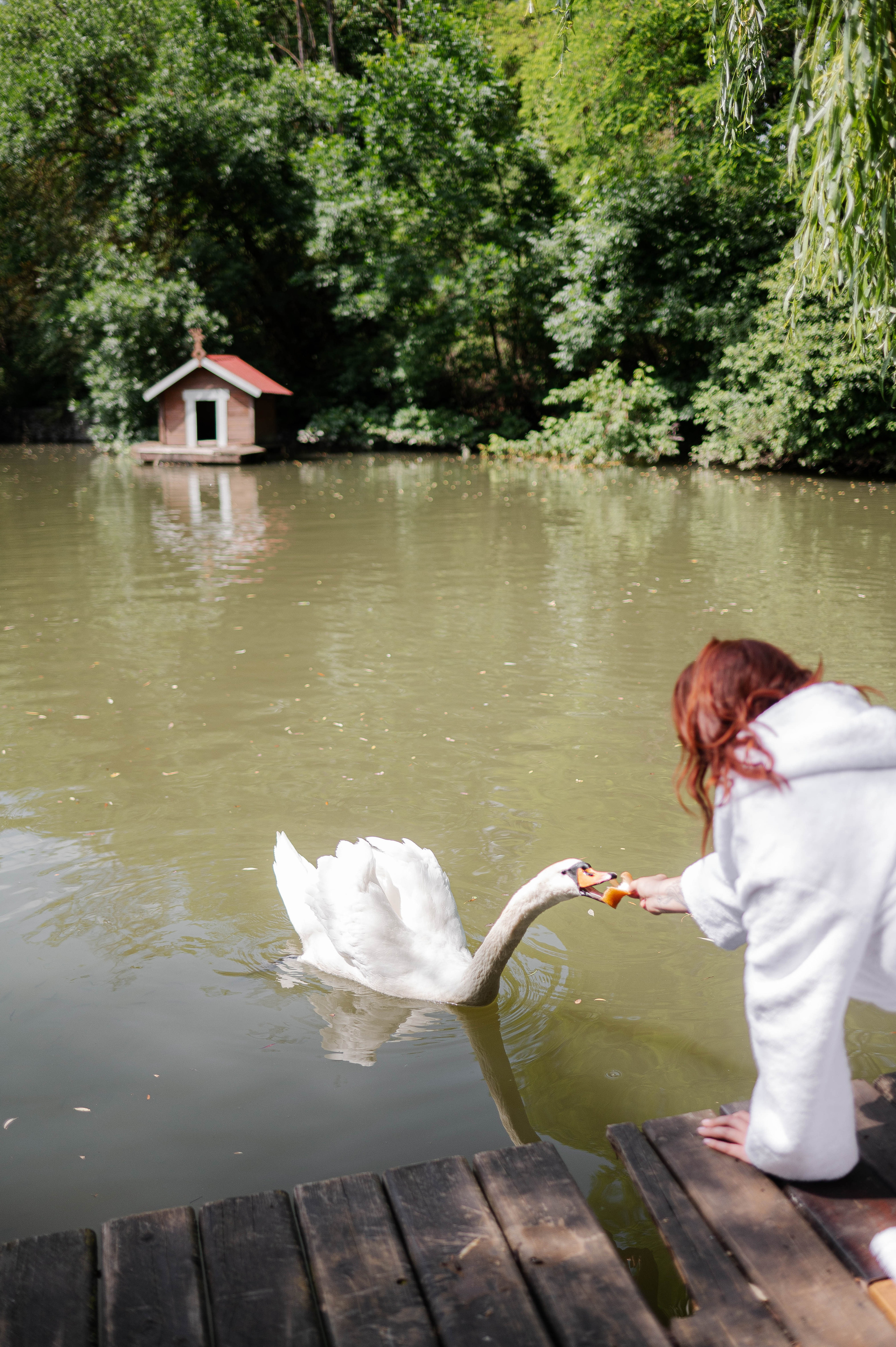 Андрей и Мария. Свадебный организатор в Ростове-на-Дону Яснов Роман