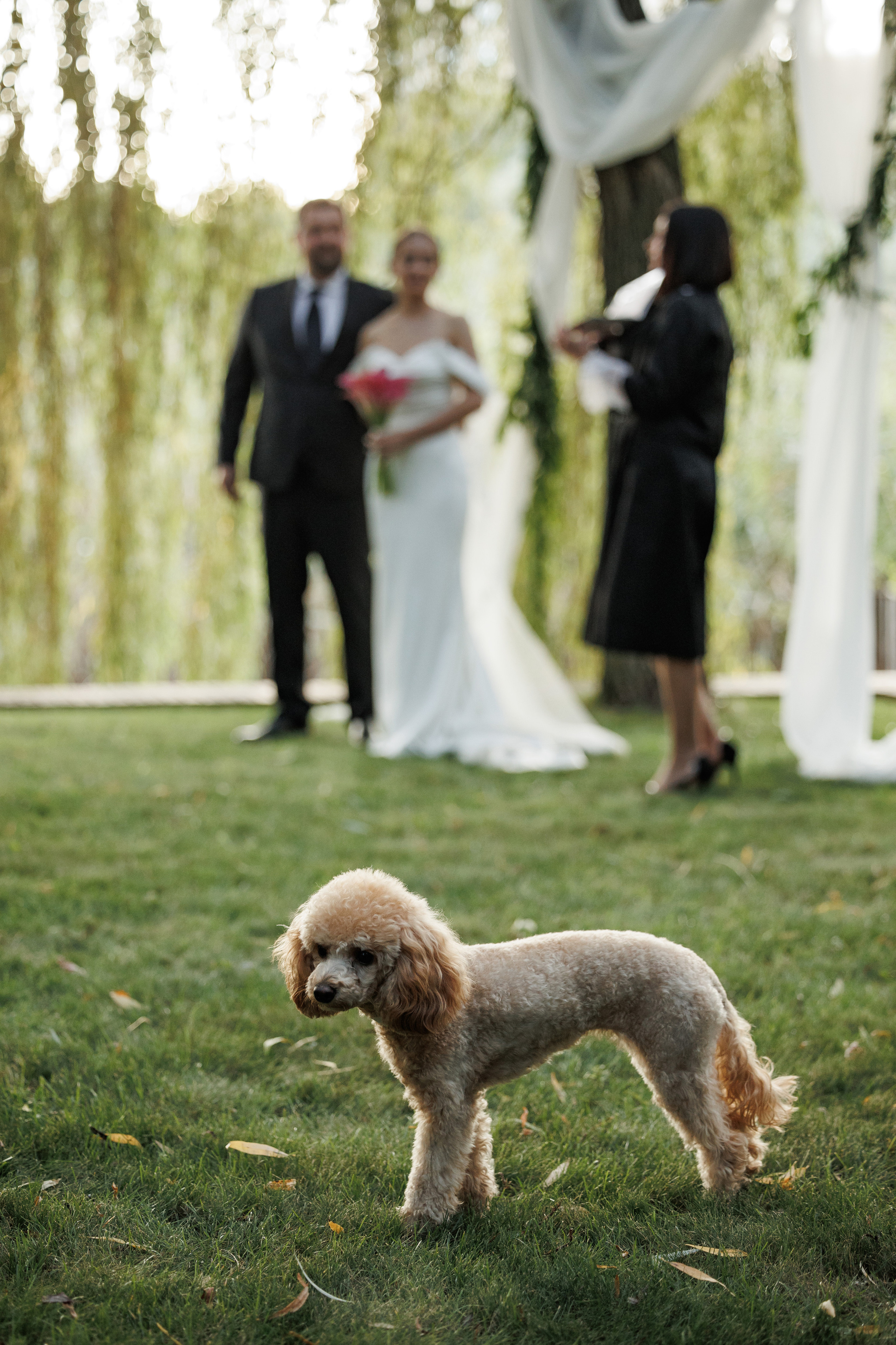 Leonid&Anastasia. Свадебный организатор в Ростове-на-Дону Яснов Роман