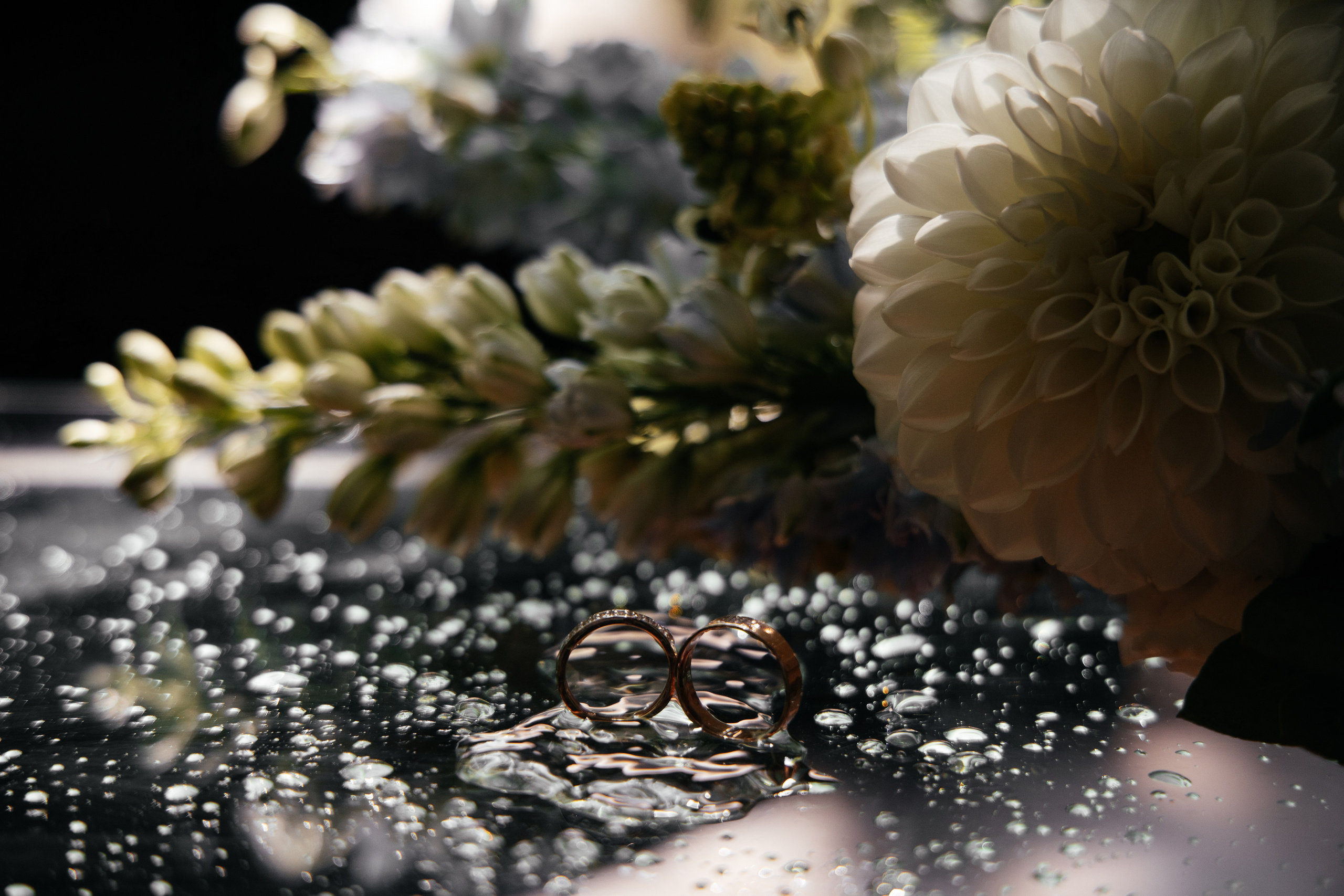 Илья и София. Свадебный организатор в Ростове-на-Дону Яснов Роман