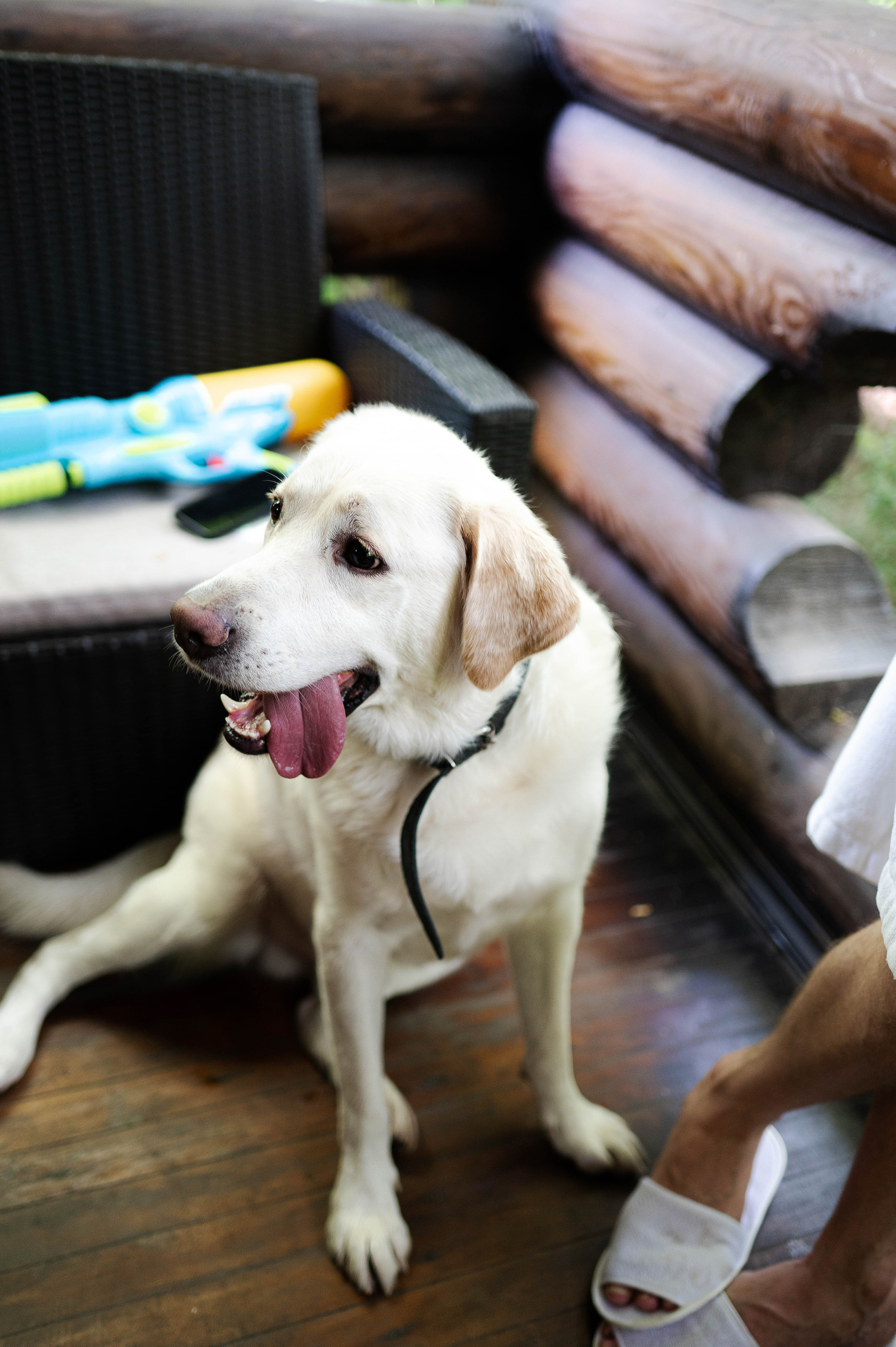 Андрей и Мария. Свадебный организатор в Ростове-на-Дону Яснов Роман