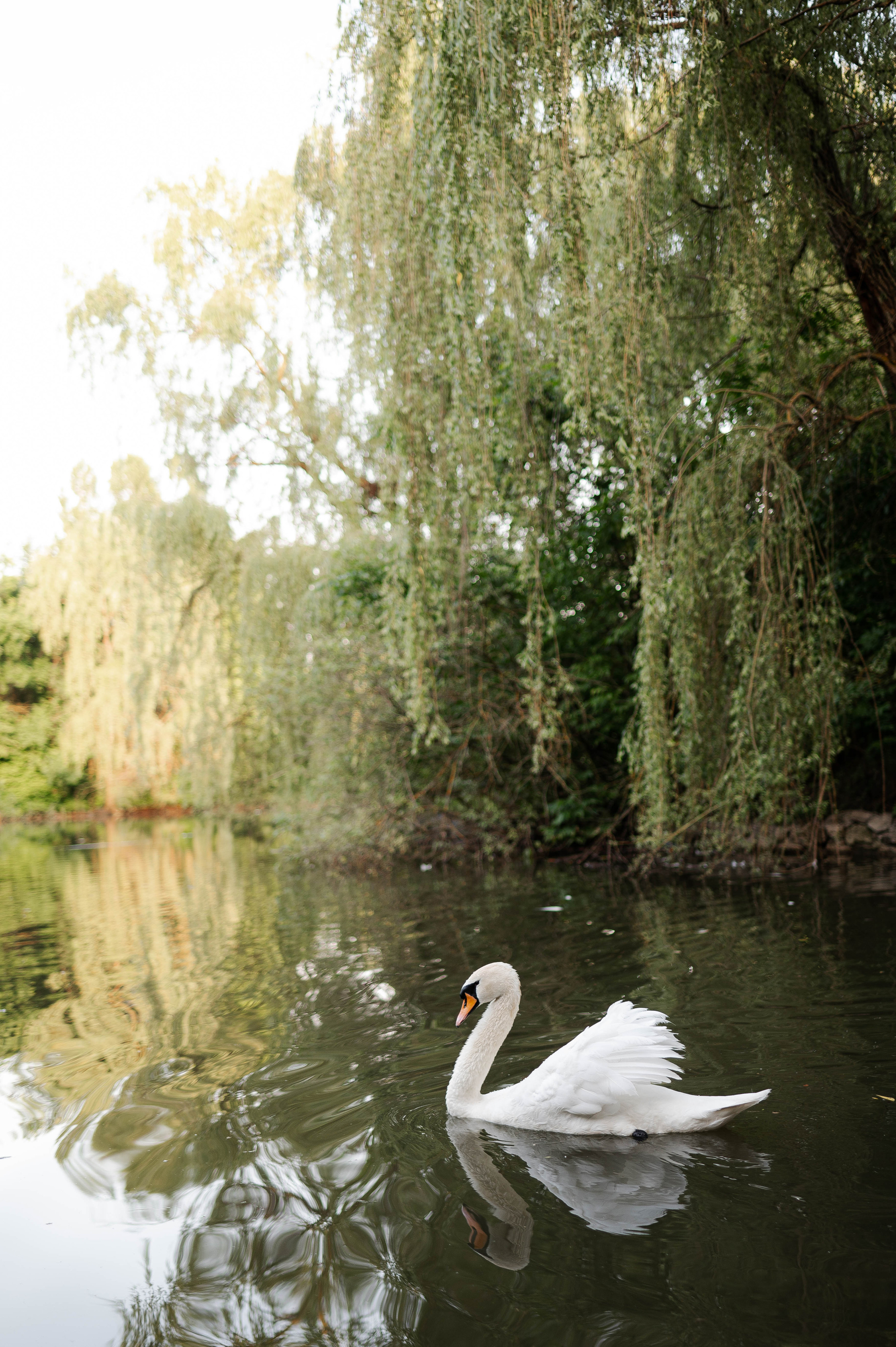 Andrey & Maria| Chamber wedding. Свадебный организатор в Ростове-на-Дону Яснов Роман