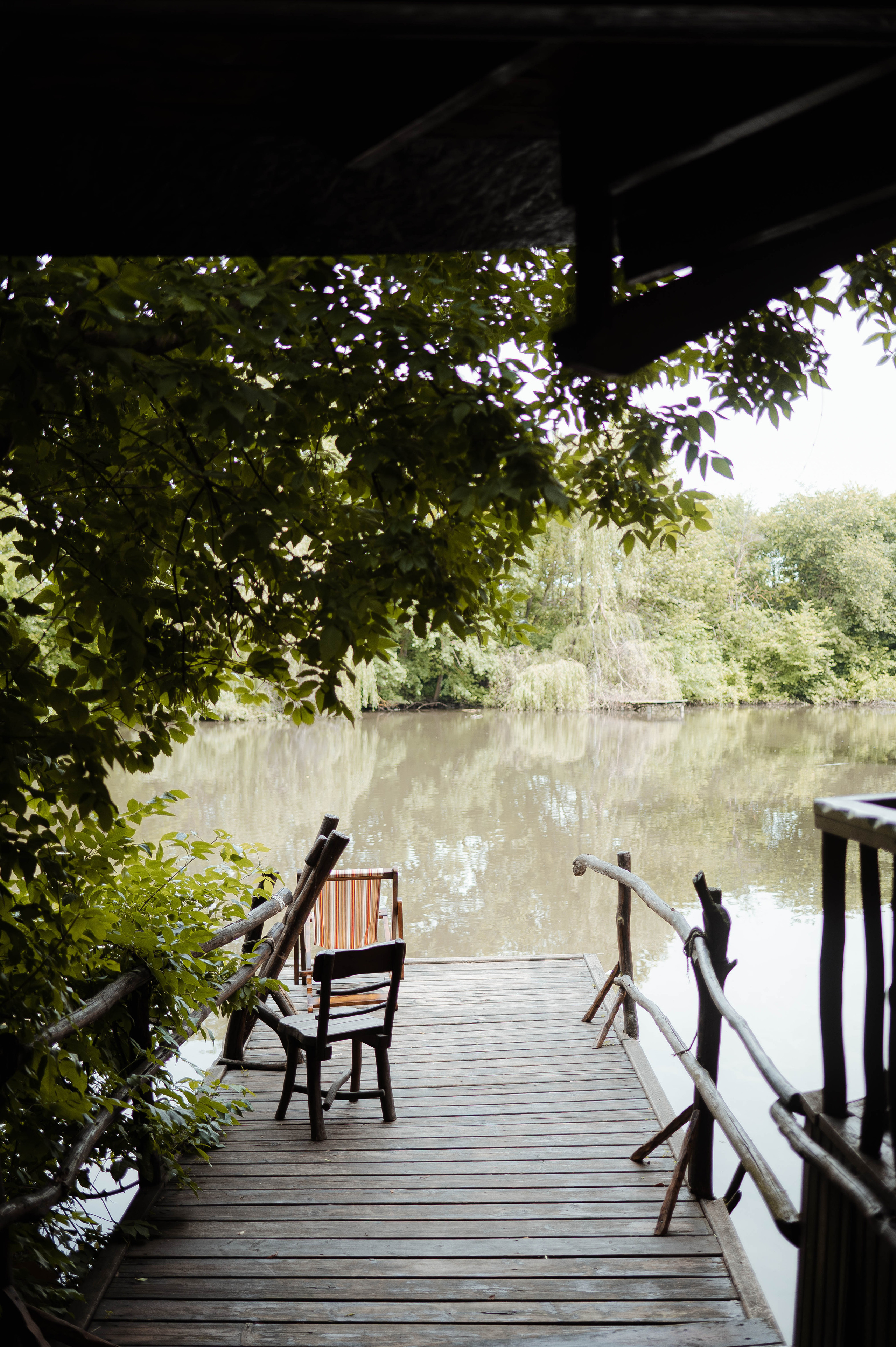 Андрей и Мария. Свадебный организатор в Ростове-на-Дону Яснов Роман