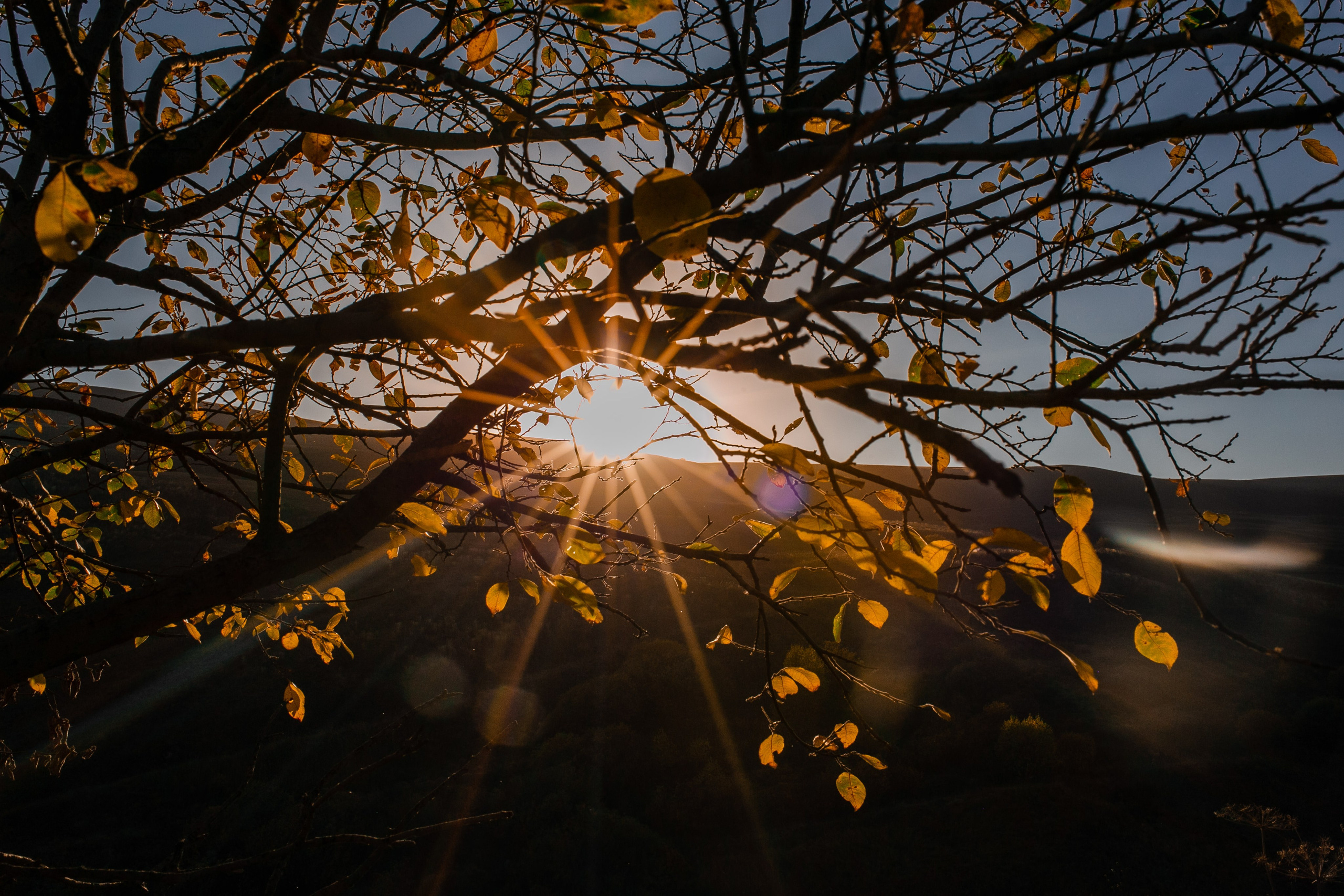 Фототуры в Карачаево-Черкессии 2019-2020. Фотограф-анималист Ксендзова Кристина