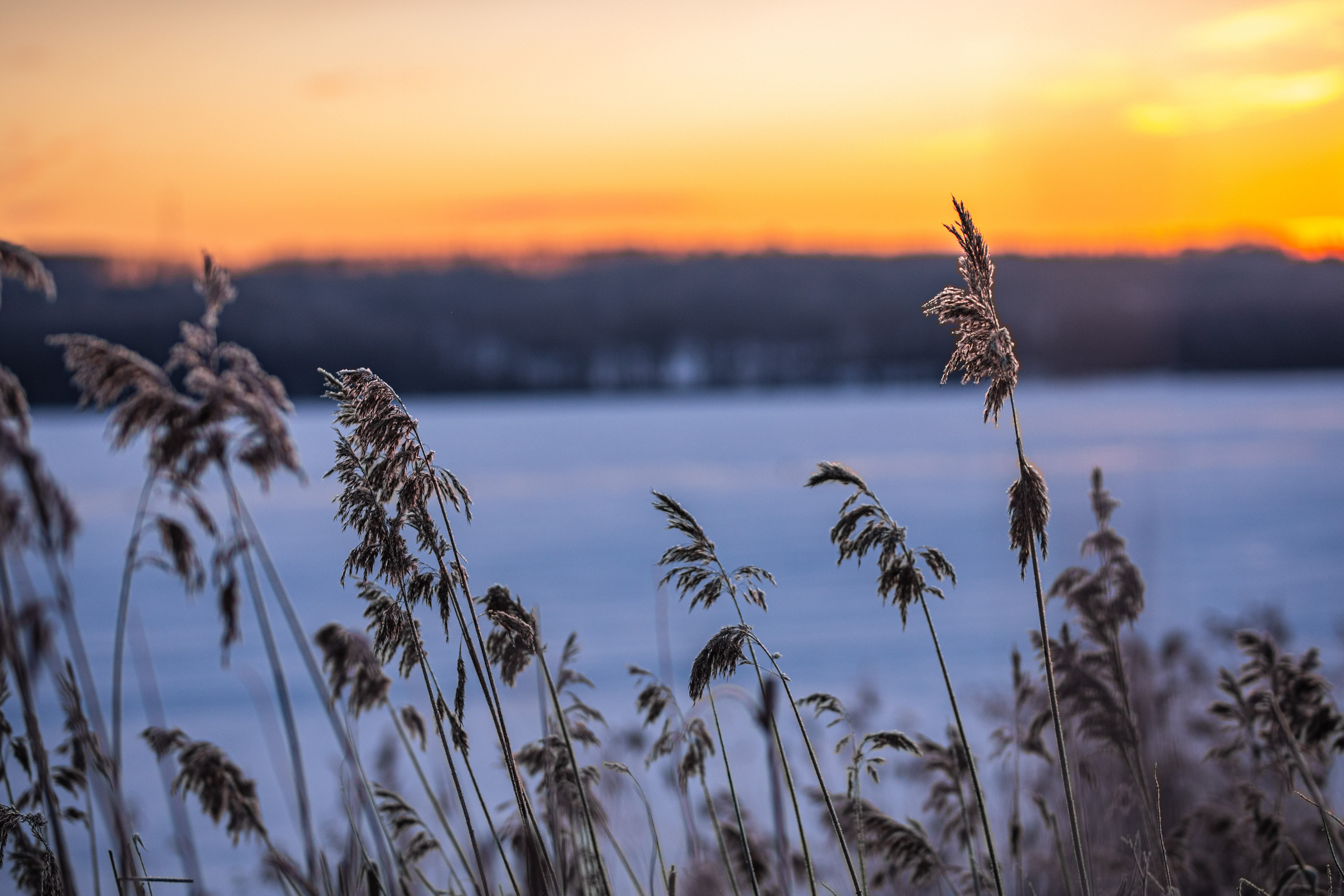 Отзывы. ЧБ Фотограф Ольга Лесли