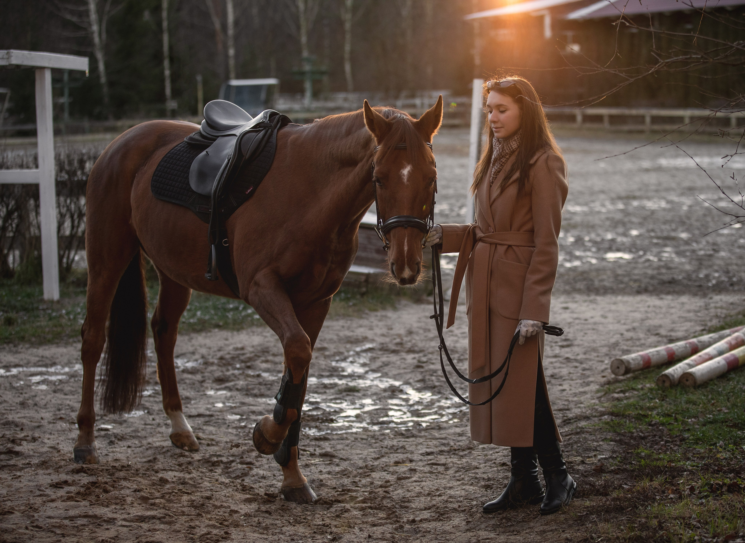 Съёмки с лошадьми. ESHE_PHOTO Фотограф анималист в Москве и Московской области