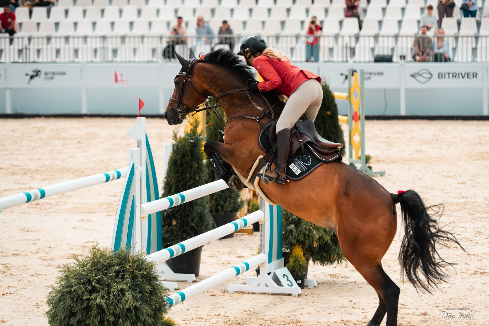 BITRIVER CUP 2023. Конный фотограф Куракина Дарья • Фотосессии с лошадьми