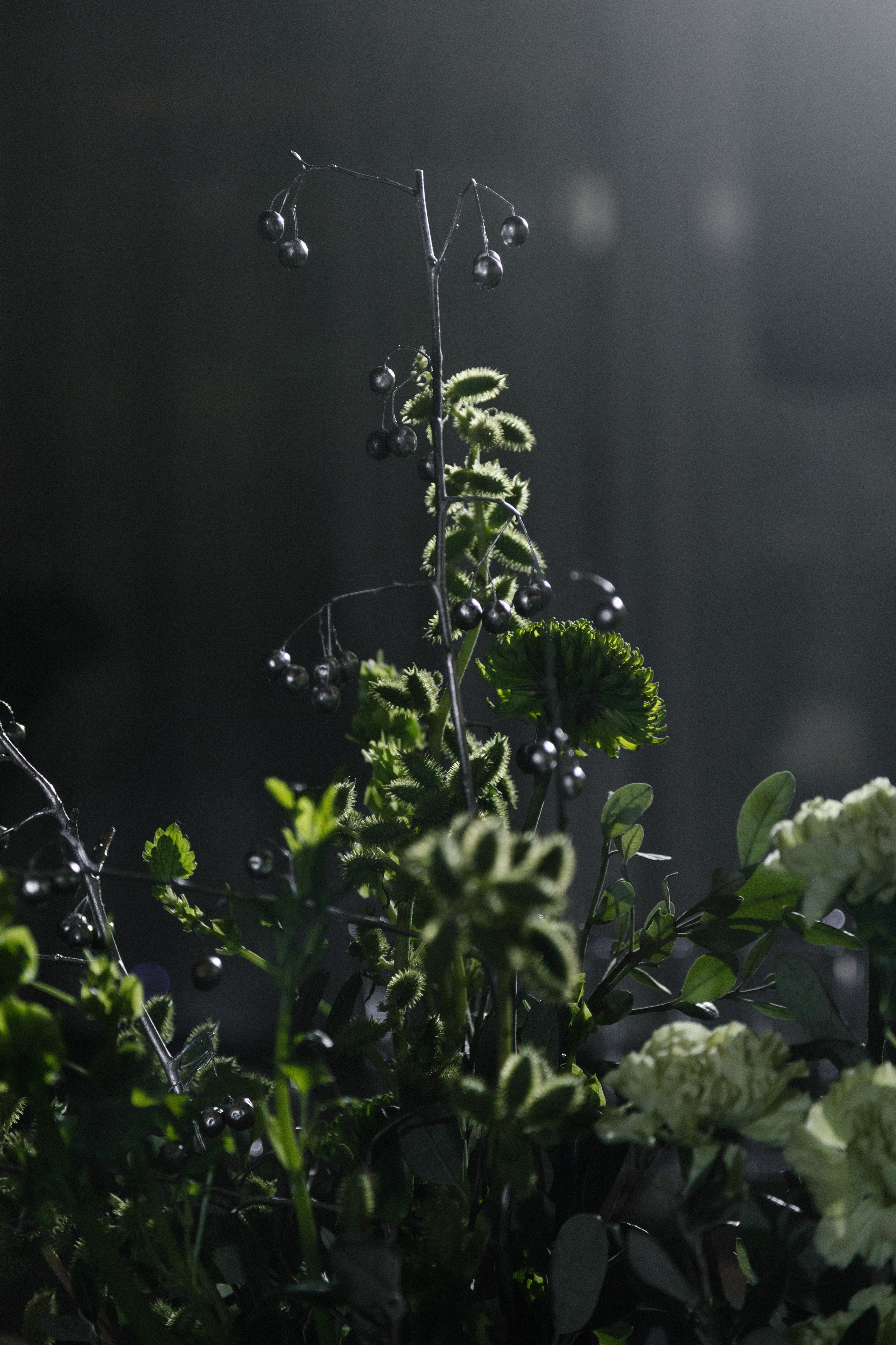 Decor | Серебро