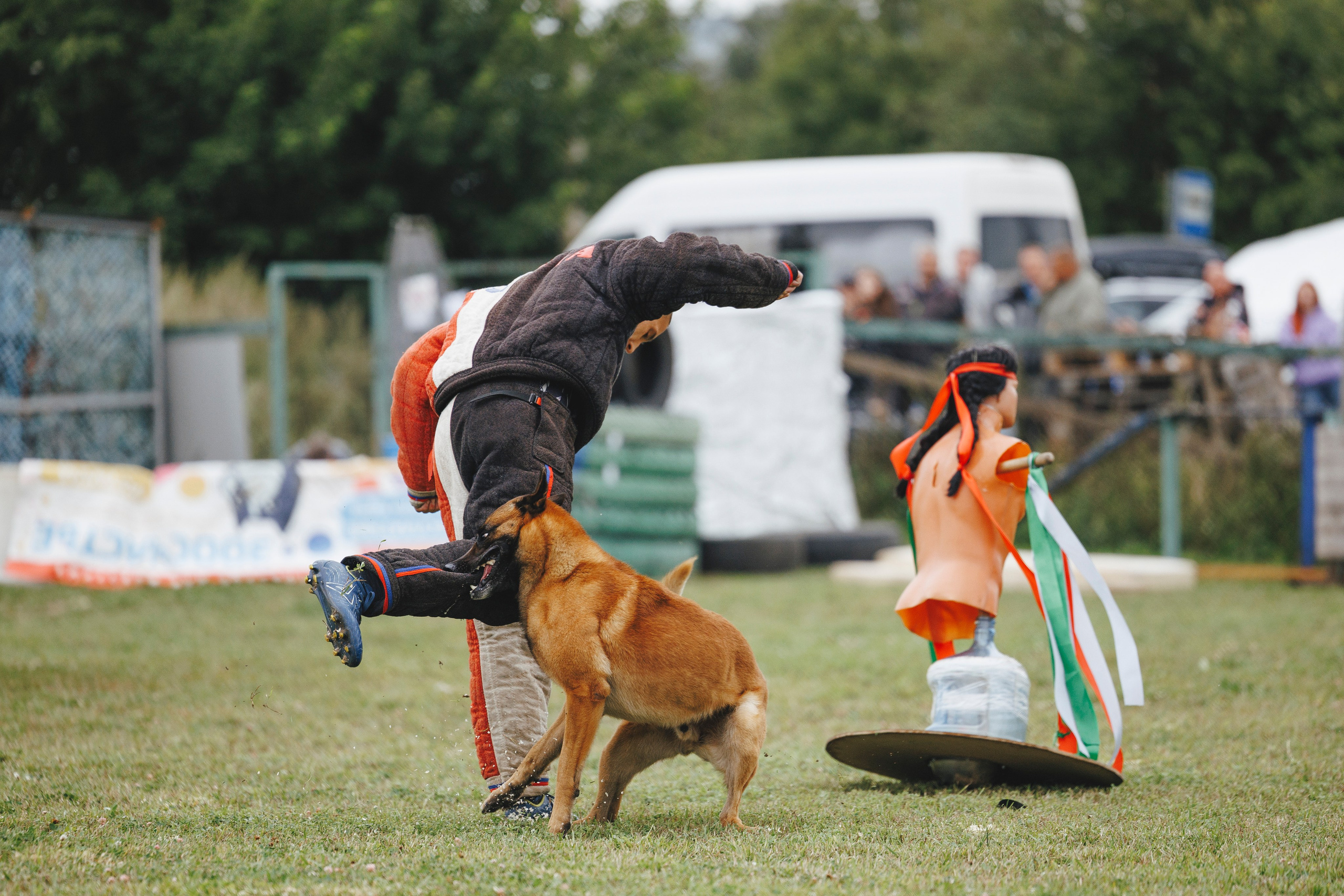 08.08.25-10.08.25 ЧР по мондьорингу г. Вологда. Фотограф-анималист Анна Маринич