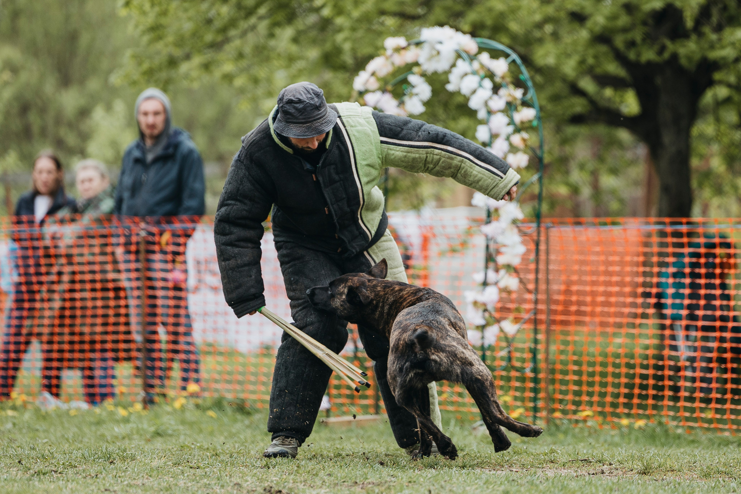 26.05.25 г. Пушкин квалификационные соревнования. Фотограф-анималист Анна Маринич