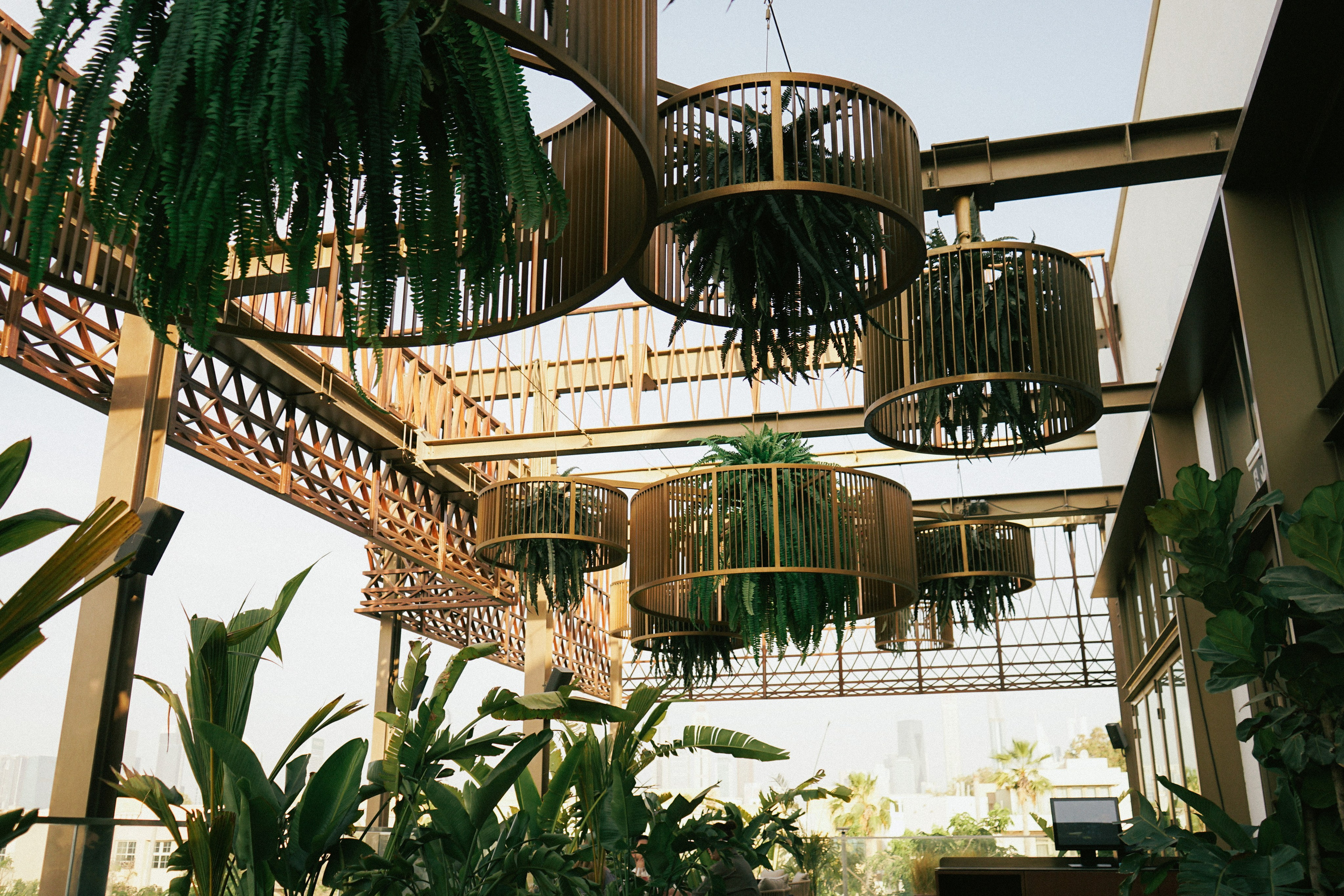 Wedding in Dubai. Photographer in Georgia UAE Russia Nekit Fox