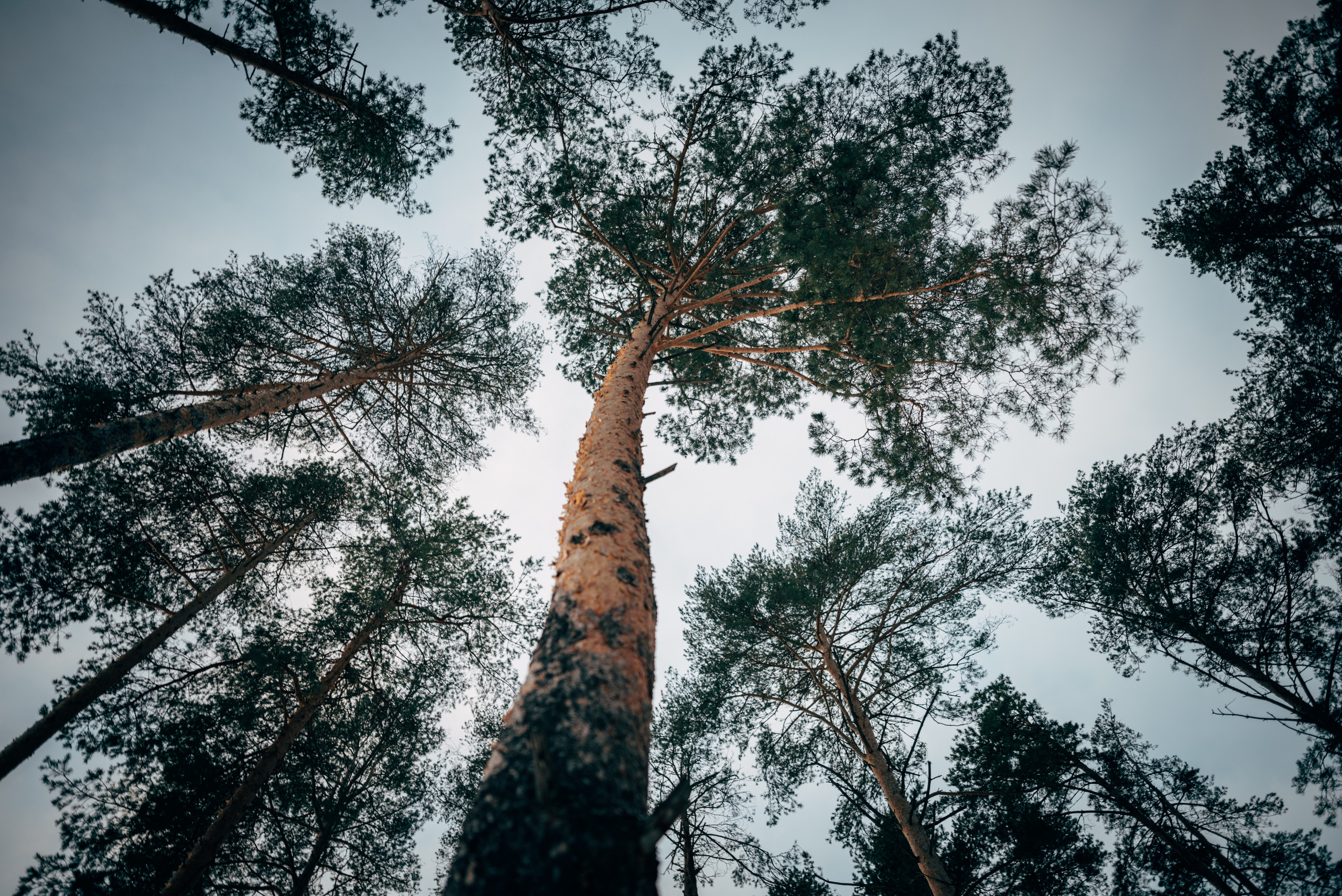 Лера. Фотограф Сердюковский Михаил
