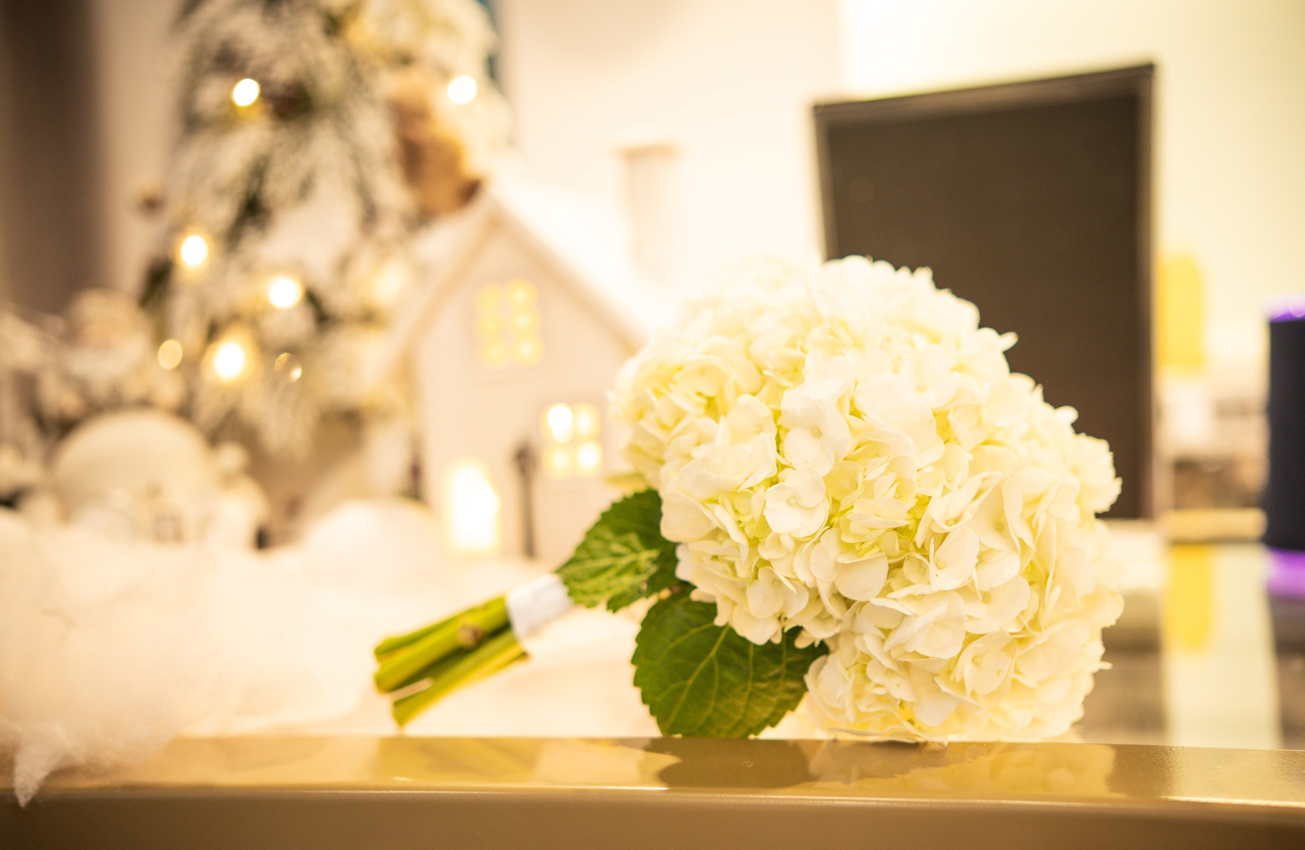 Свадьба Декабрь. Свадебный фотограф и видеограф в городе Армавир Katerina Arts