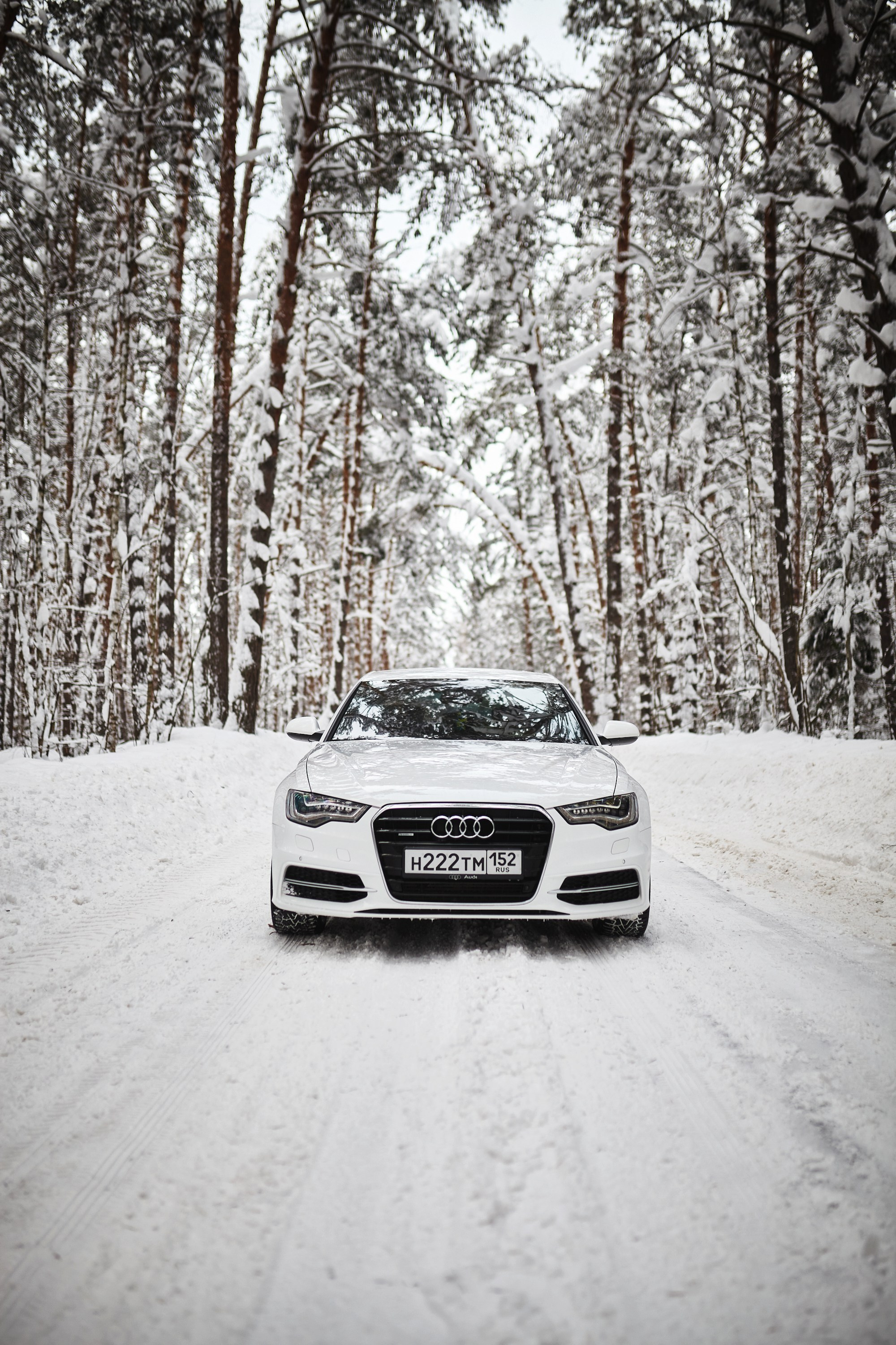 Audi A6. DKARPOCHEVA PHOTOGRAPHY