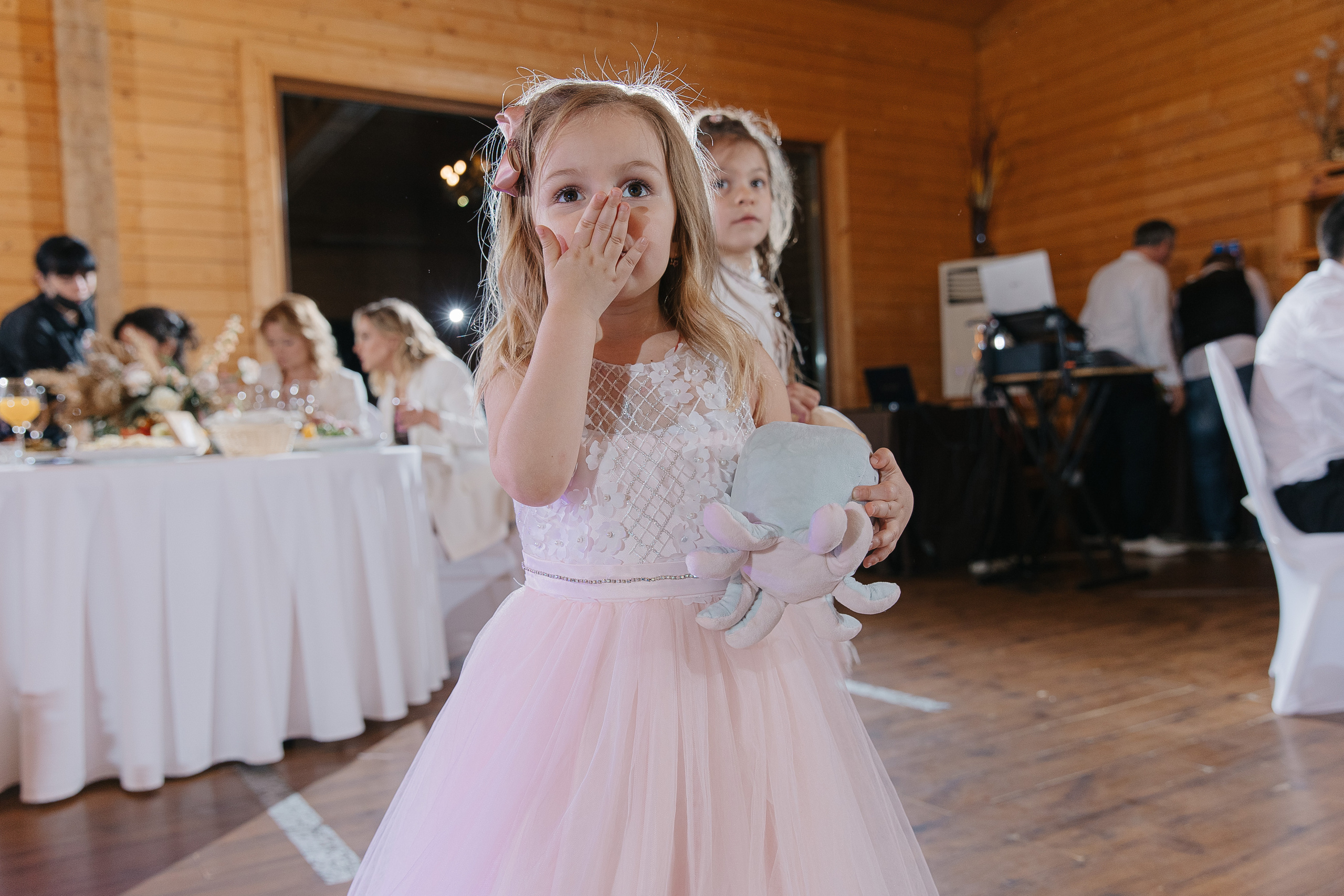 Ростислав и Мария (свадьба). Свадебный фотограф Москва Саша Серегина (Сашина)