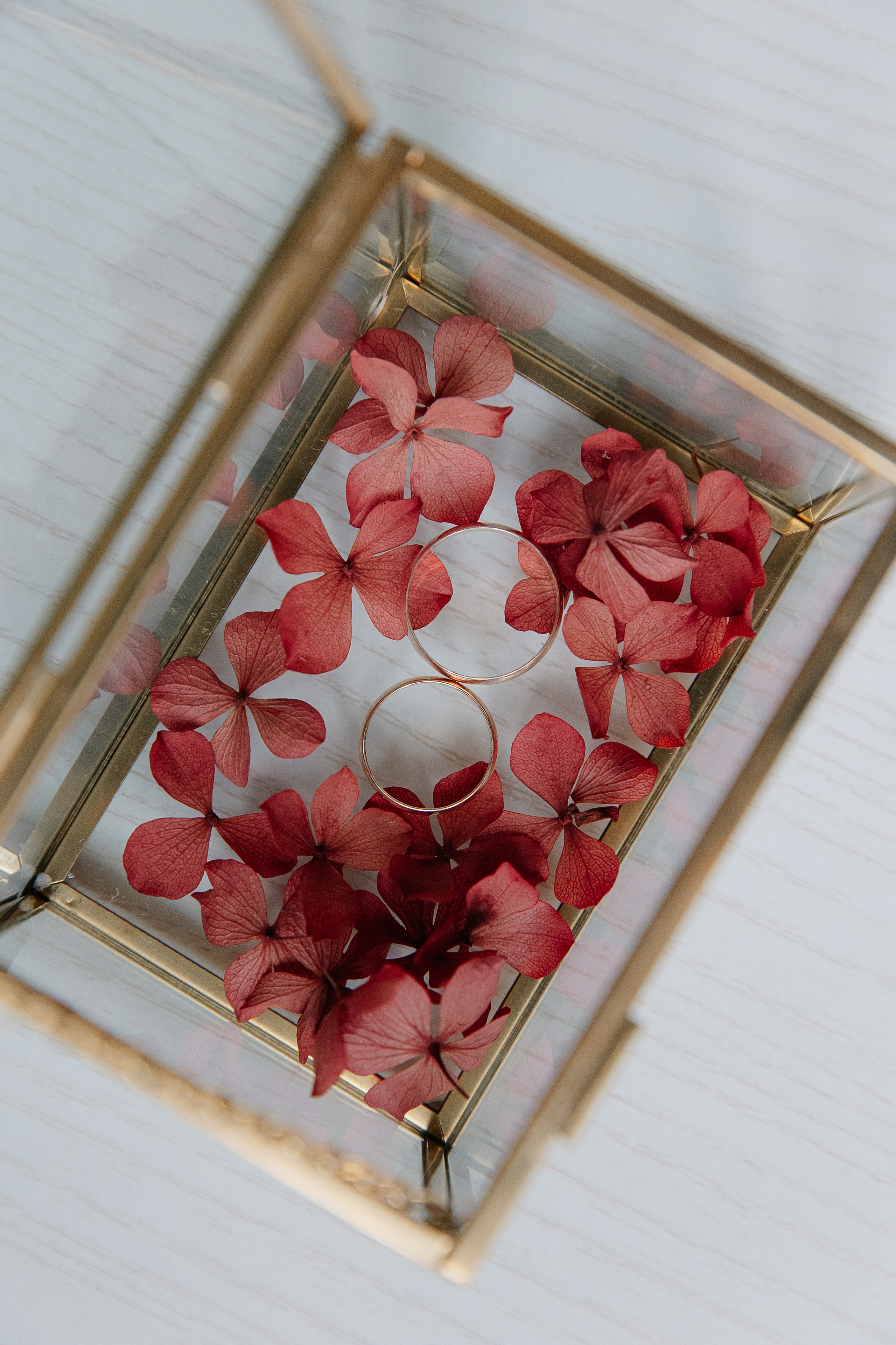 Леон и Лилия. Свадебный фотограф Москва Саша Серегина (Сашина)