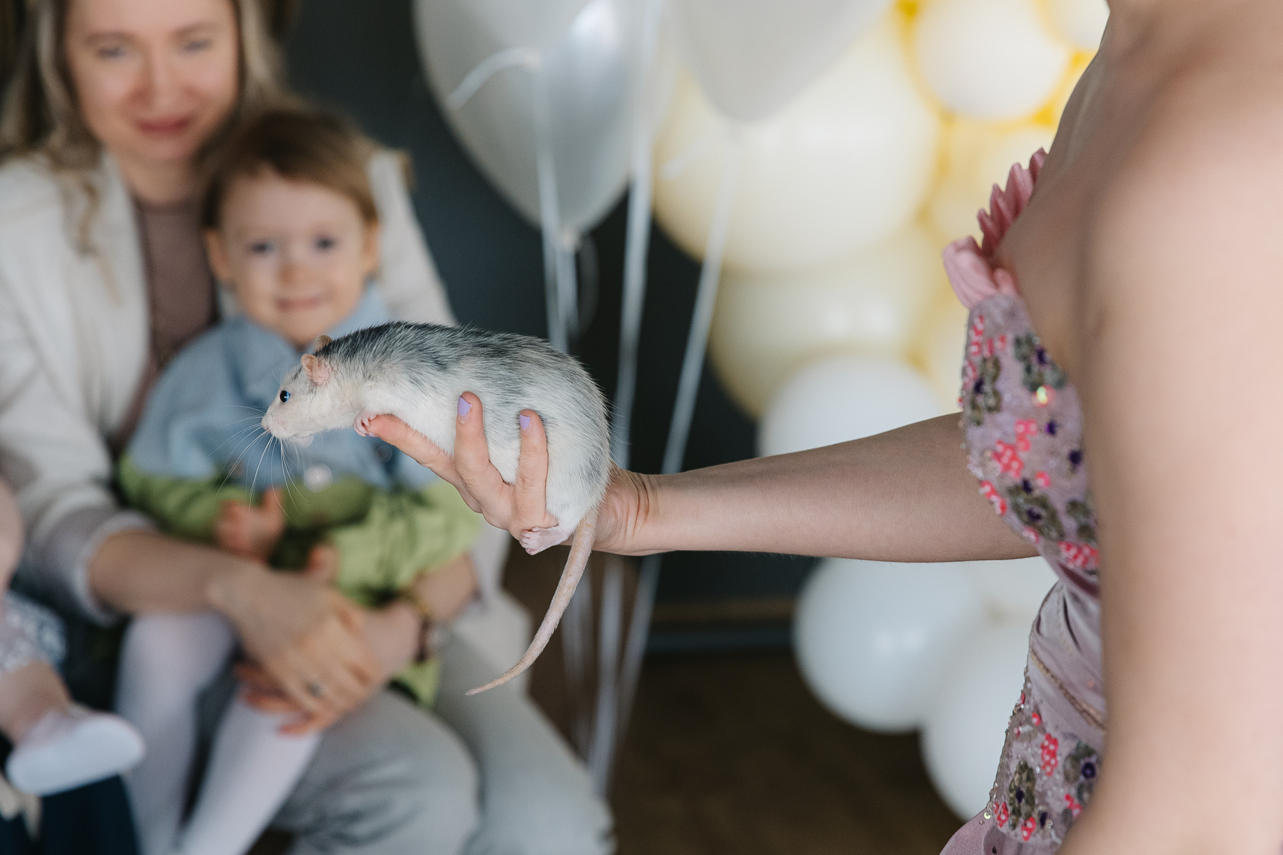Годовасия Марьяны (детский ДР). Свадебный фотограф Москва Саша Серегина (Сашина)