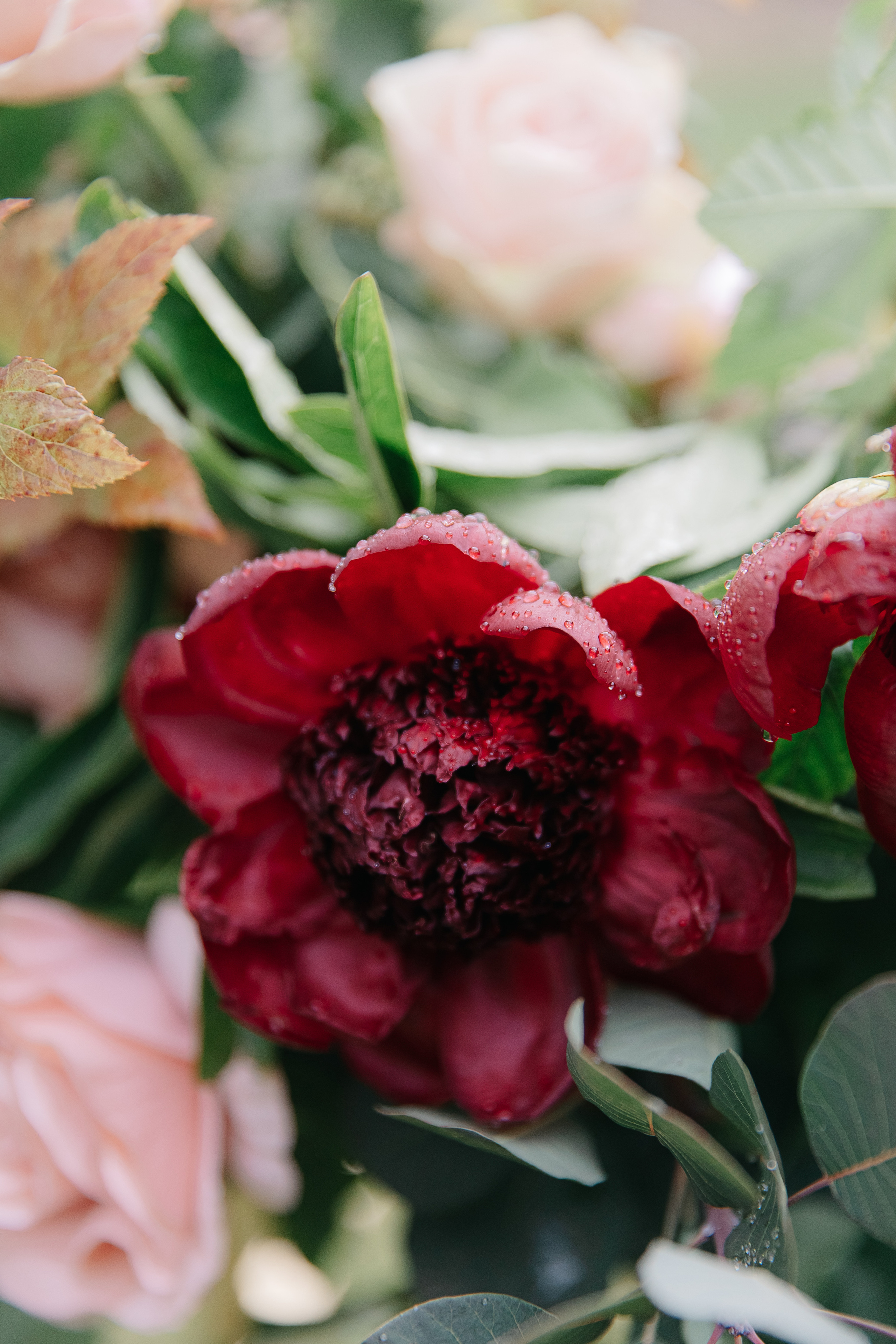 Леон и Лилия. Свадебный фотограф Москва Саша Серегина (Сашина)