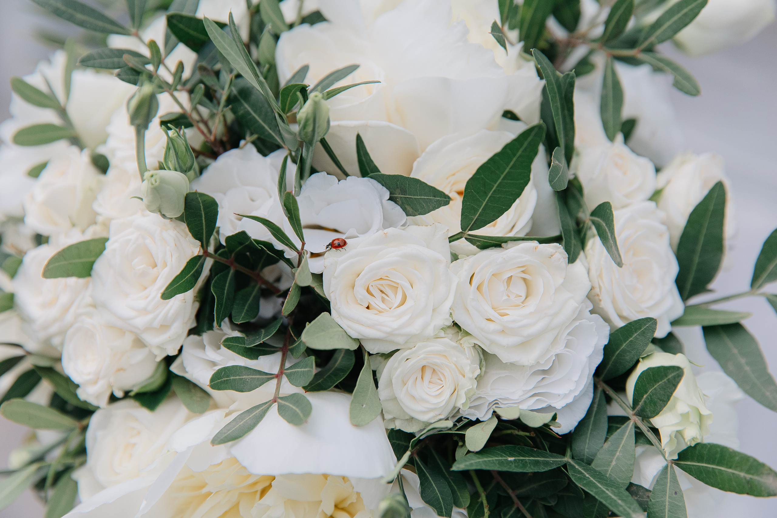 Вячеслав и Дарья (свадьба). Свадебный фотограф Москва Саша Серегина (Сашина)