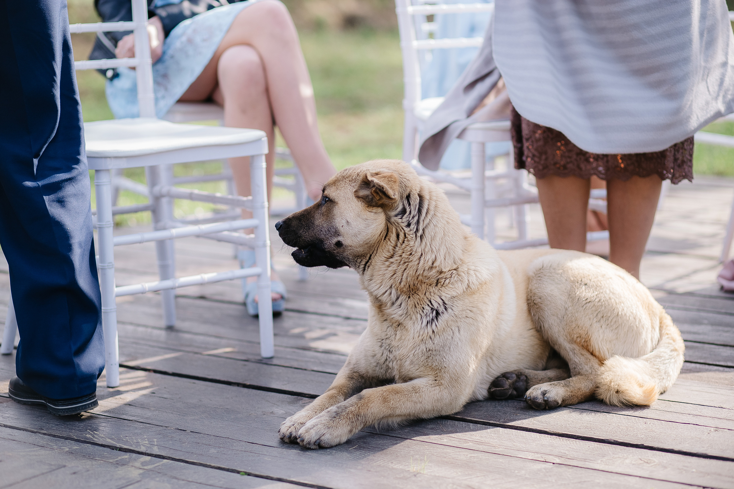Алексей и Анастасия (свадьба). Свадебный фотограф Москва Саша Серегина (Сашина)