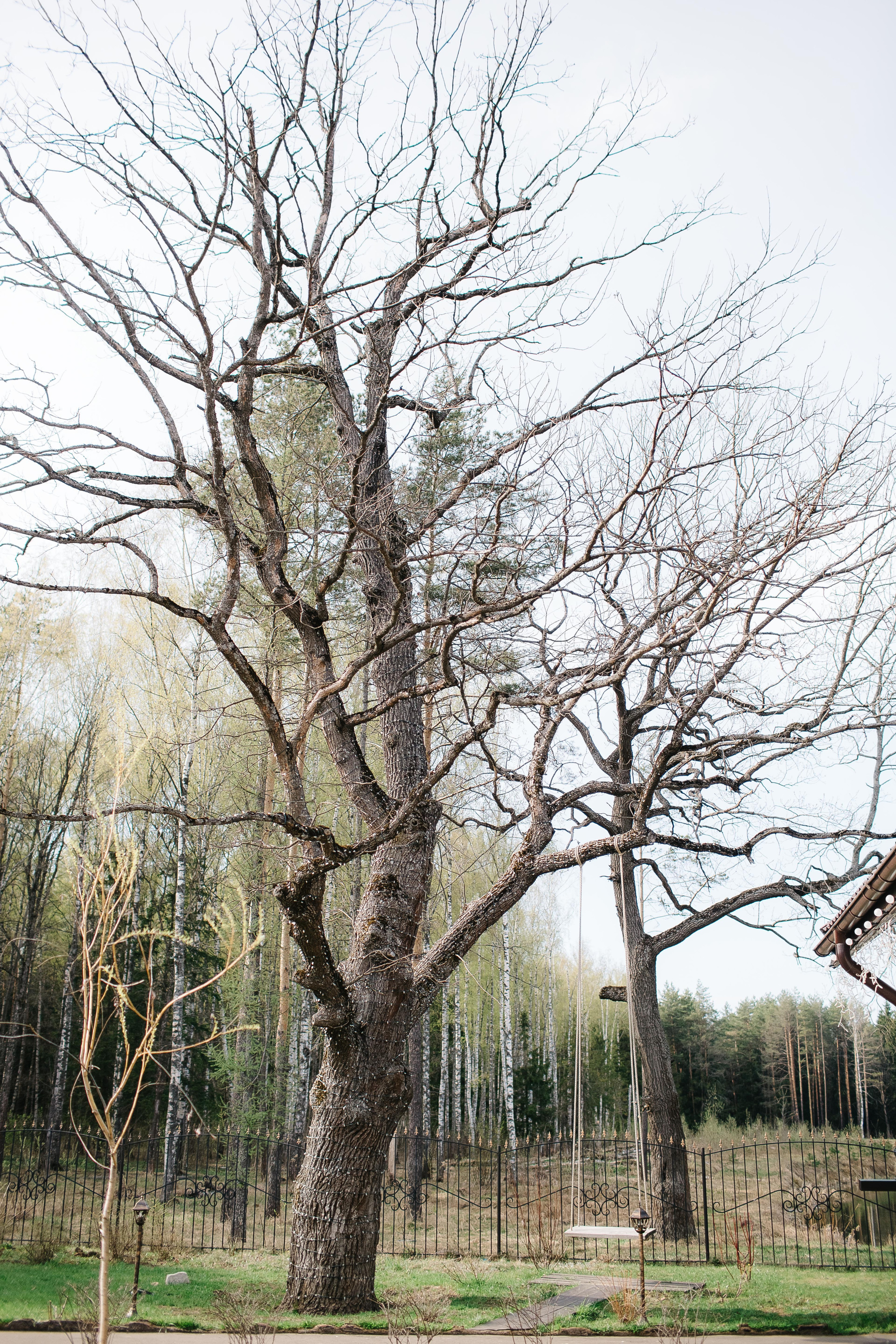 Алексей и Анастасия (свадьба). Свадебный фотограф Москва Саша Серегина (Сашина)
