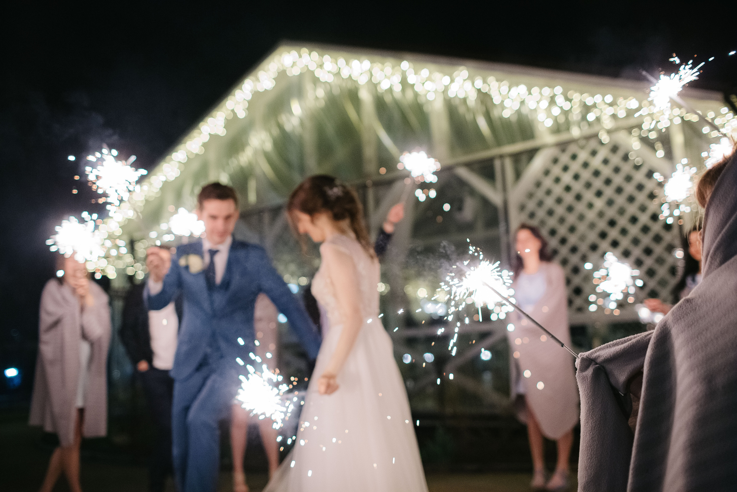 Алексей и Анастасия (свадьба). Свадебный фотограф Москва Саша Серегина (Сашина)