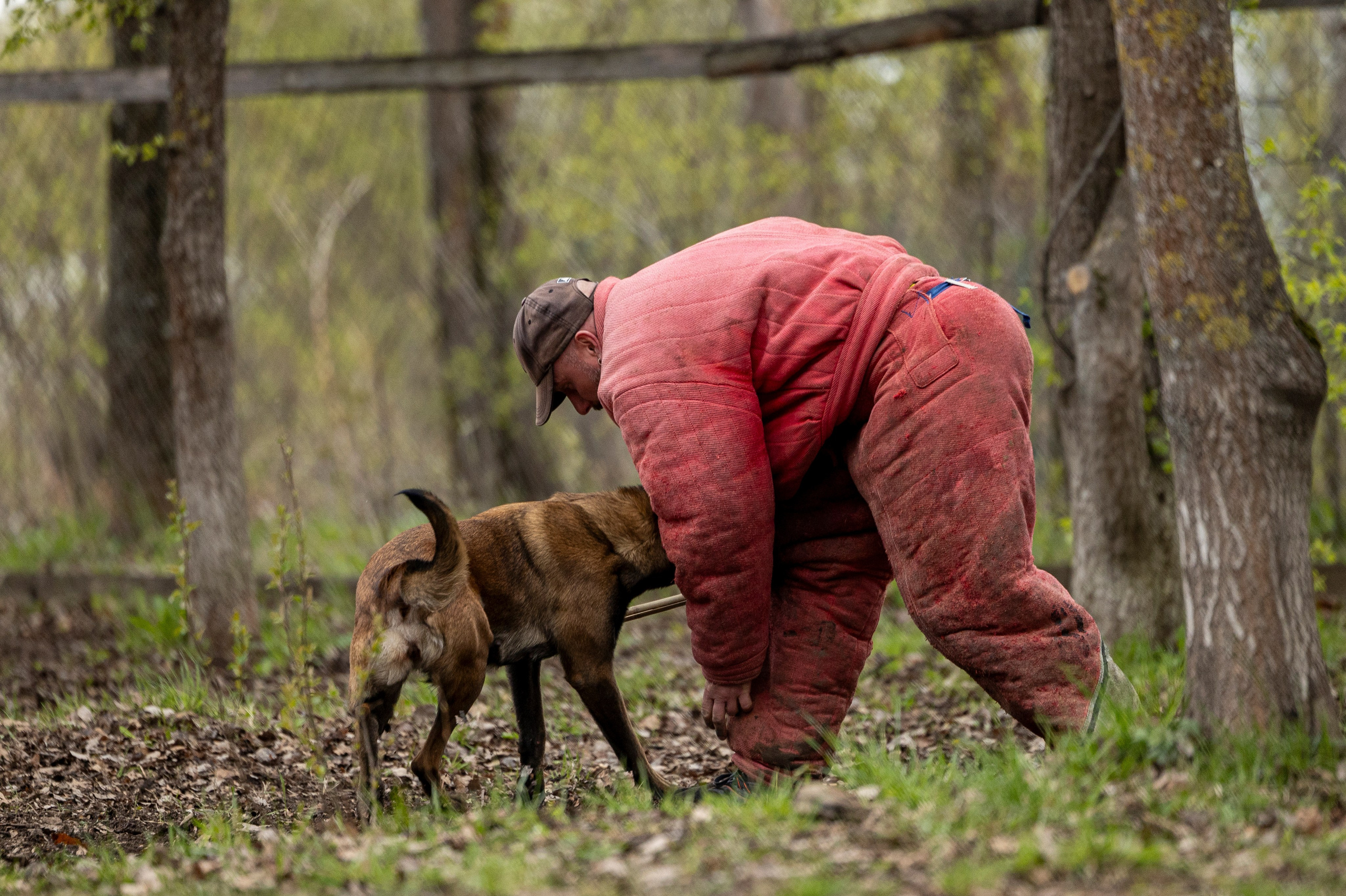 Квалификационные состязания по мондьорингу г. Вологда 11.05.24. Фотограф-анималист Анна Маринич